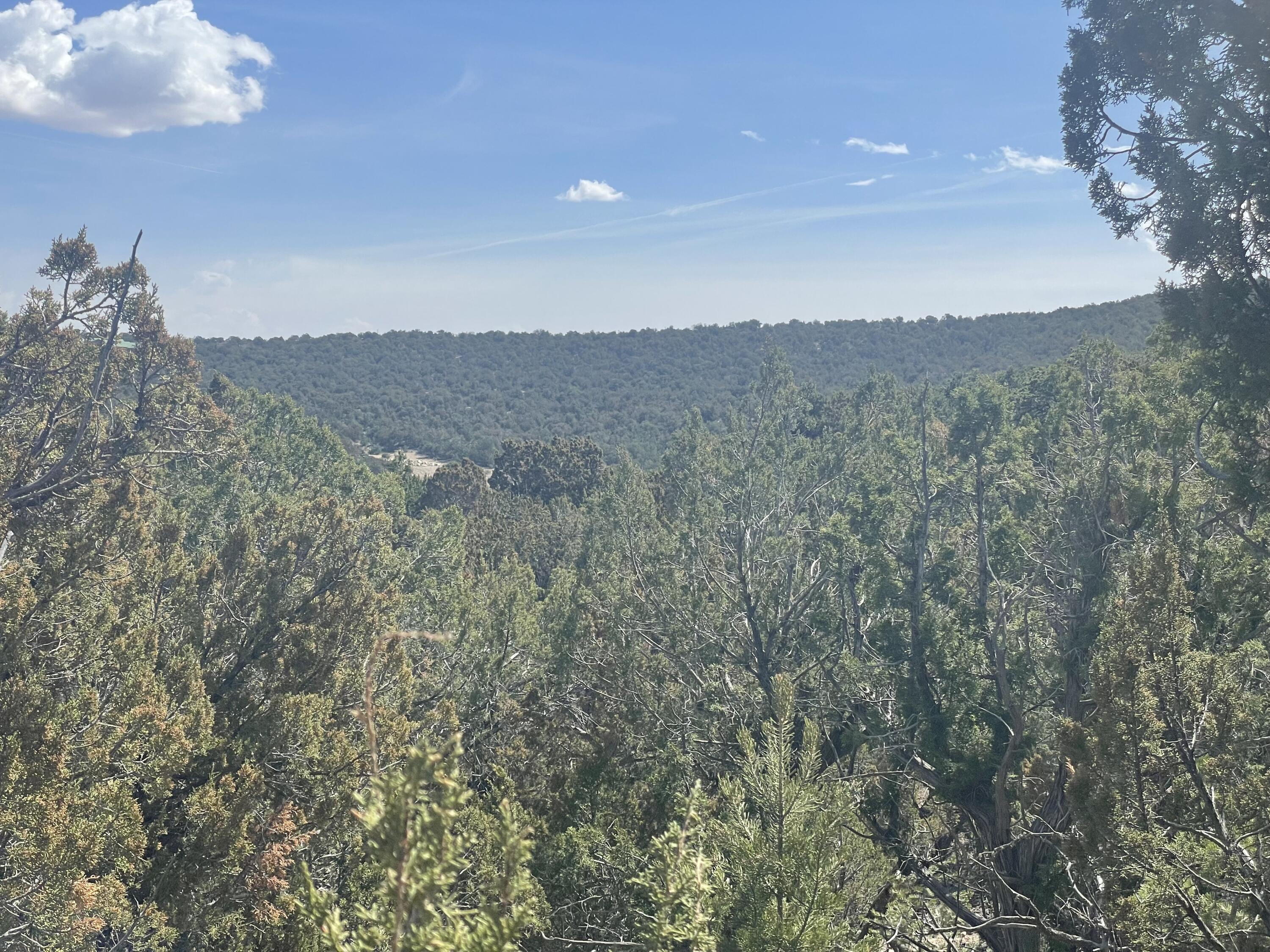 Photo 2 — 31 Canon Escondido