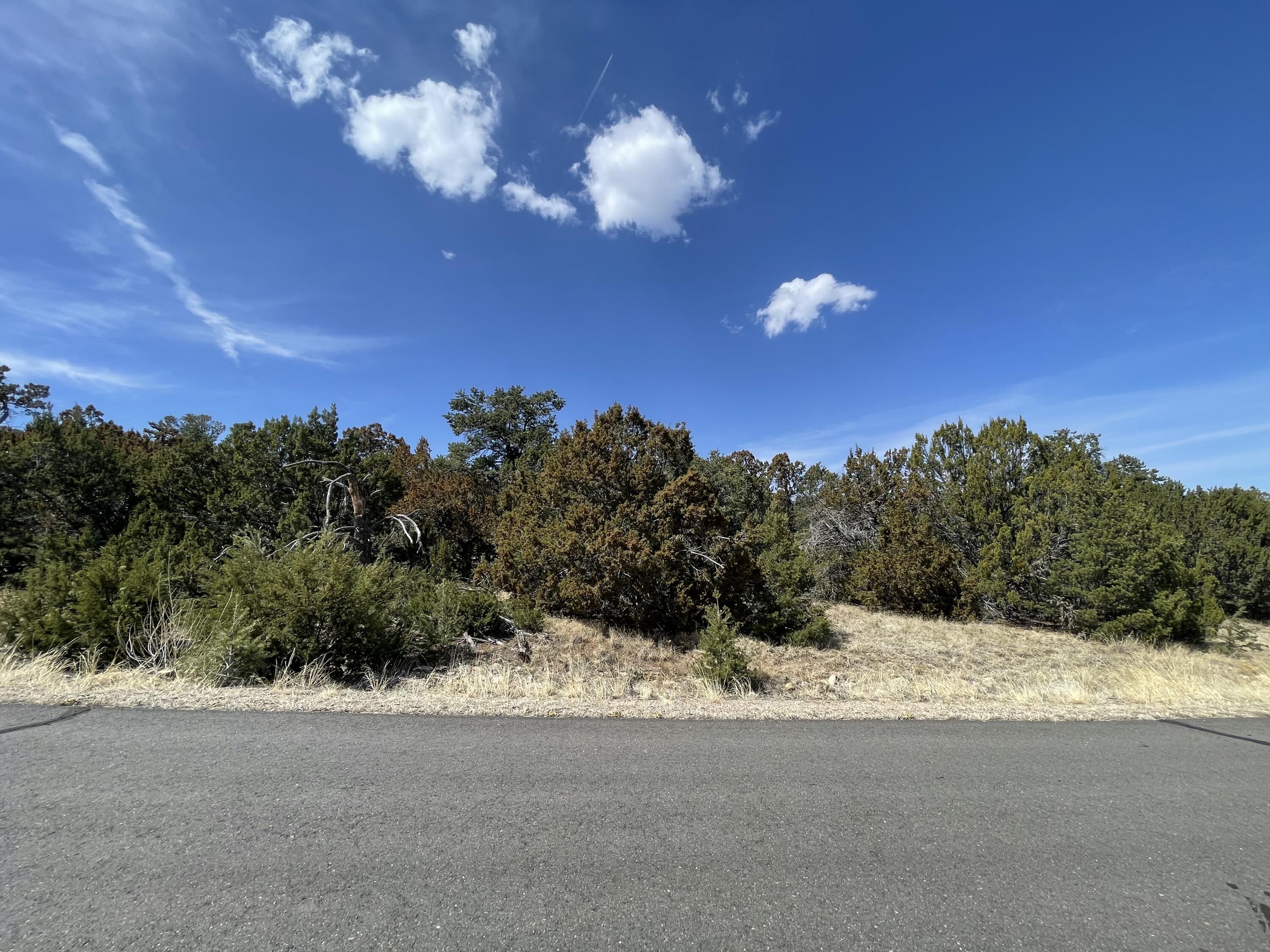 29 Canon Escondido, Sandia Park, NM 87047
