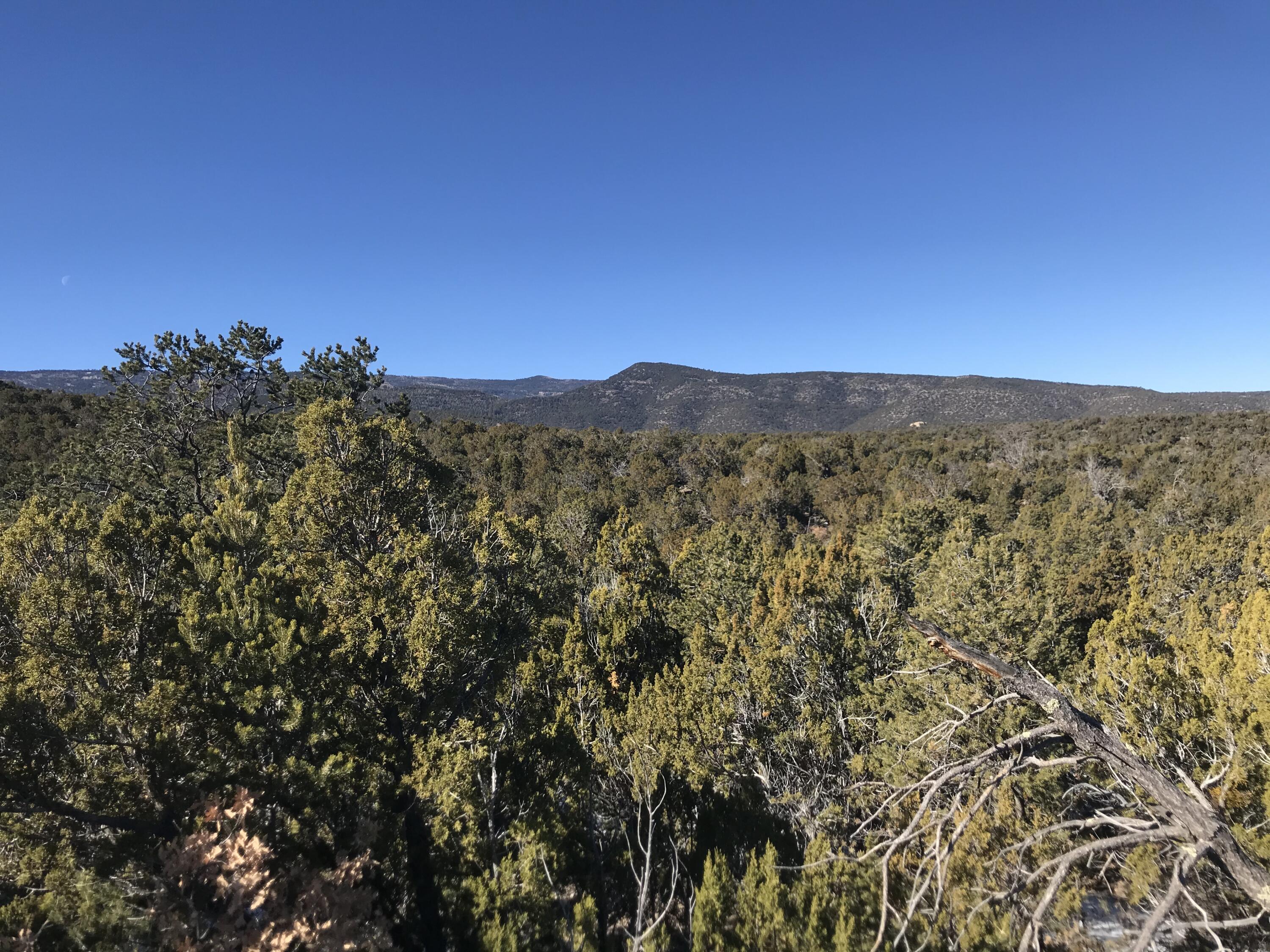 Photo 8 — 29 Canon Escondido