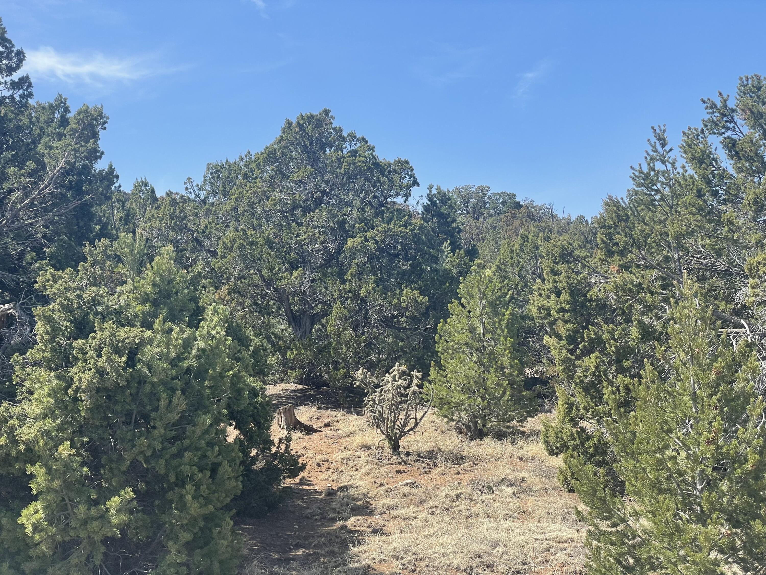 Photo 6 — 29 Canon Escondido