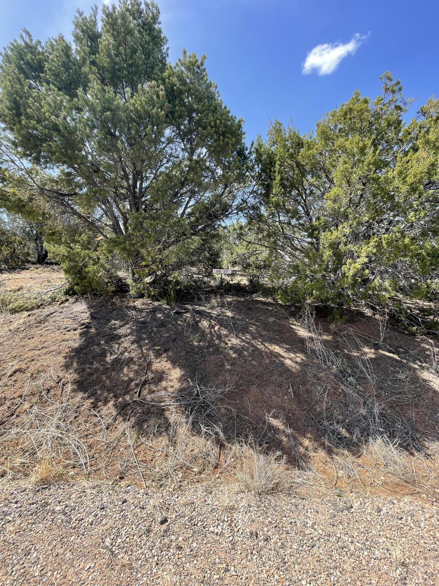 Photo 5 — 29 Canon Escondido