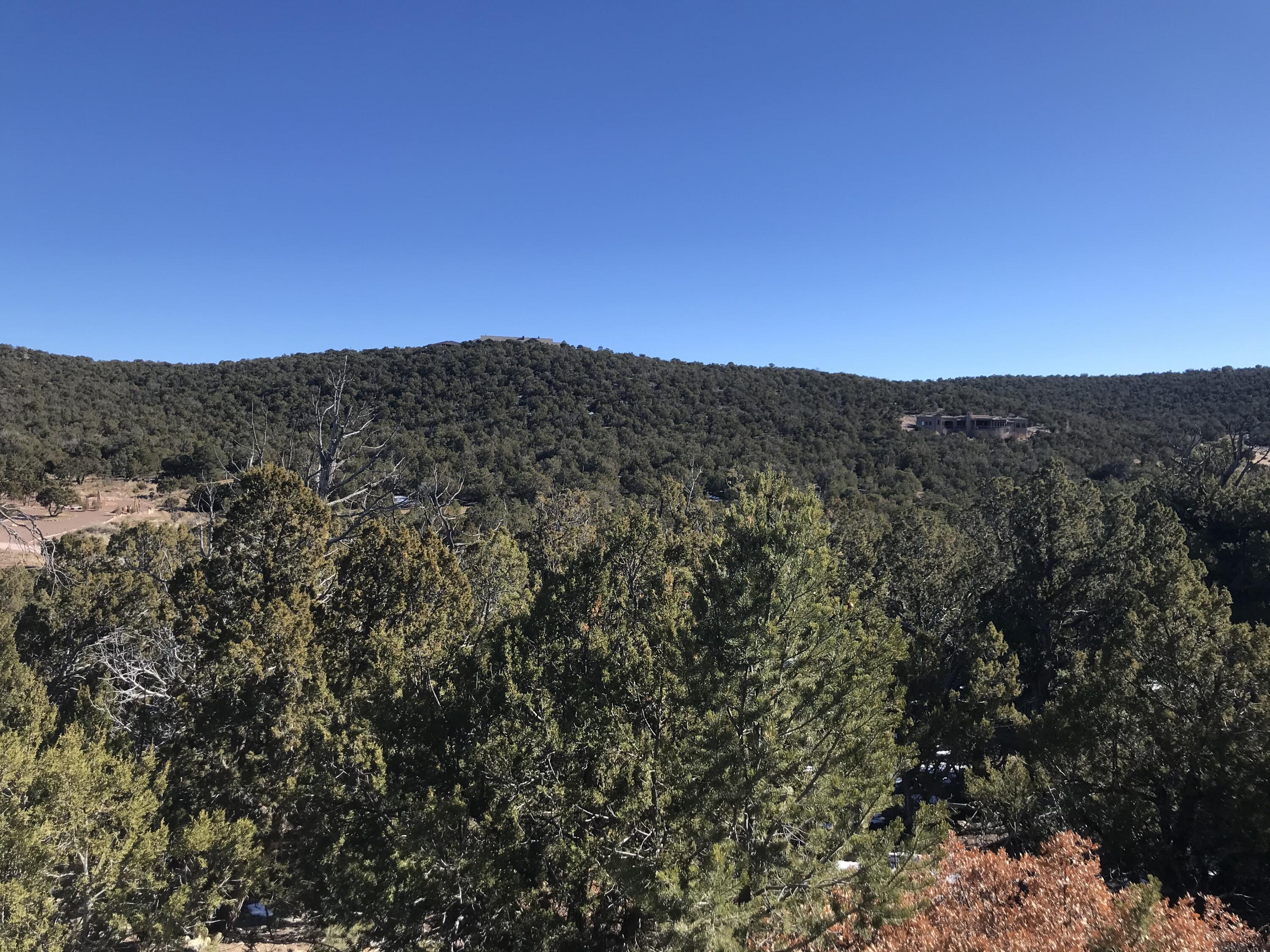 Photo 13 — 29 Canon Escondido