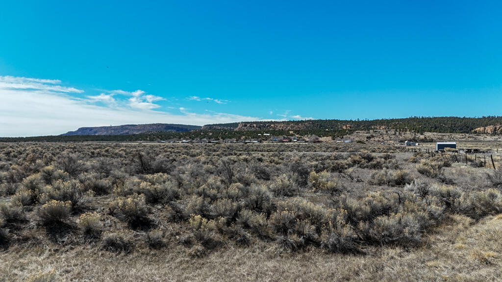 Photo 14 — 6517 US-550
