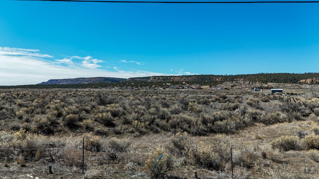 Photo 13 — 6517 US-550