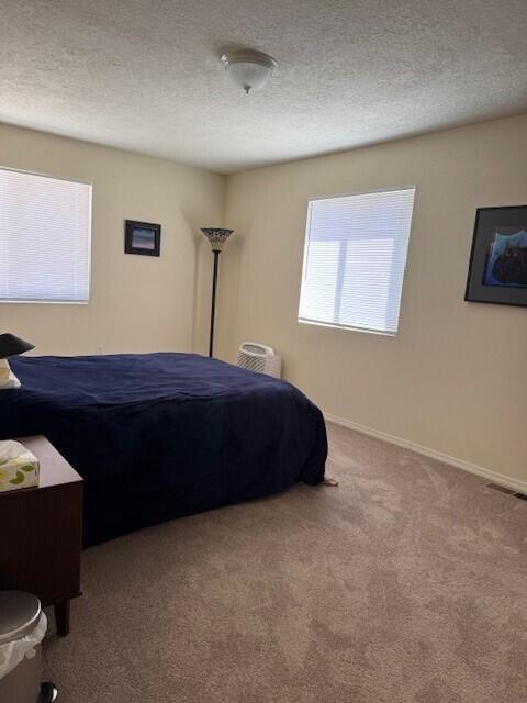 Photo 6 — 1000 Mineral Way UNIT 2