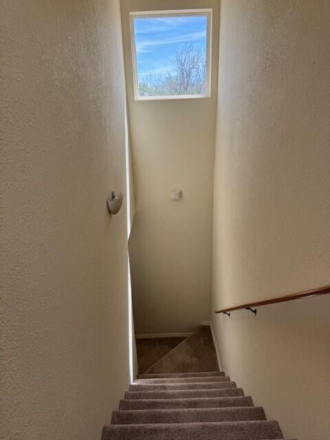 Photo 4 — 1000 Mineral Way UNIT 2