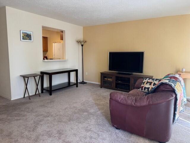 Photo 14 — 1000 Mineral Way UNIT 2