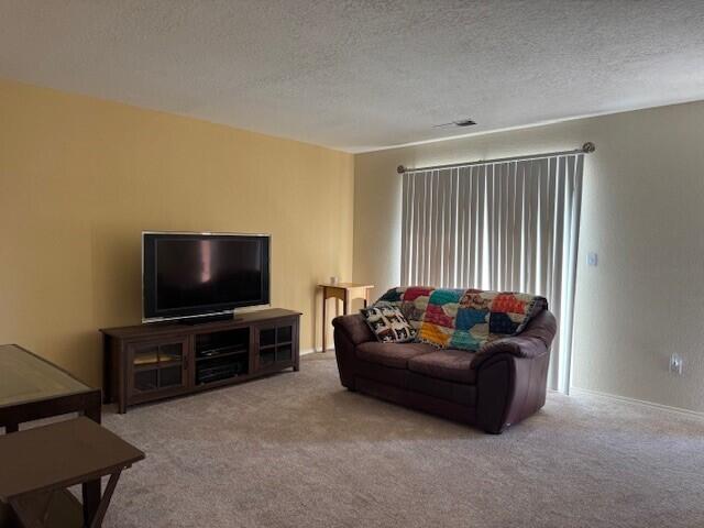 Photo 13 — 1000 Mineral Way UNIT 2