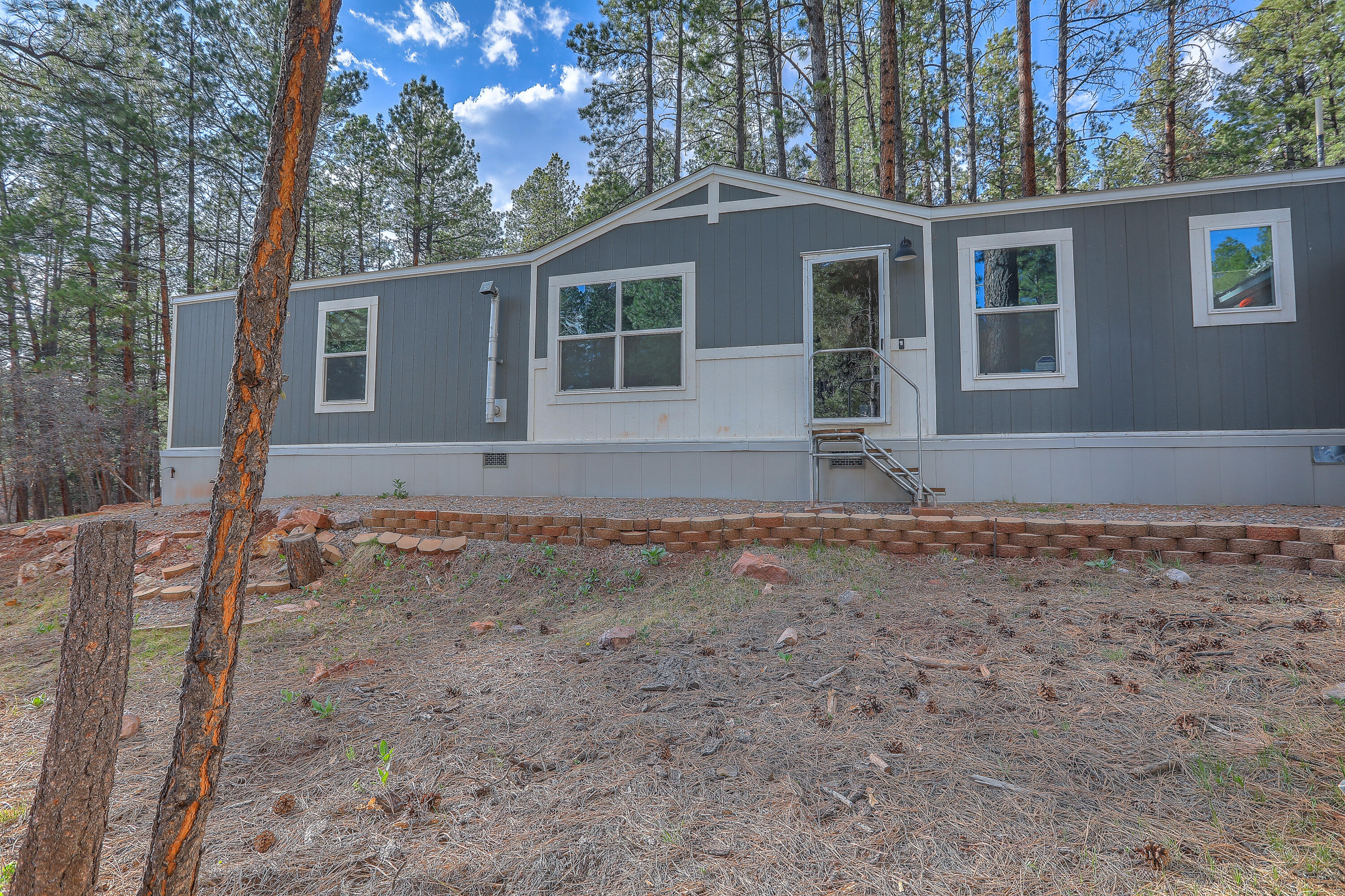 18 Private Drive A & B, Chama, NM 87520