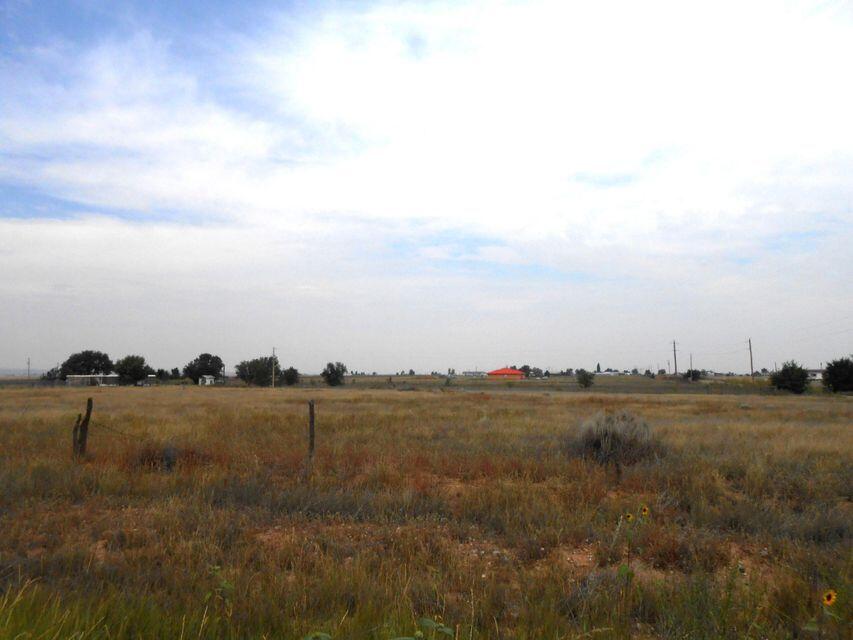 Photo 6 —  LOT 7-1 Pumpkin Patch Road