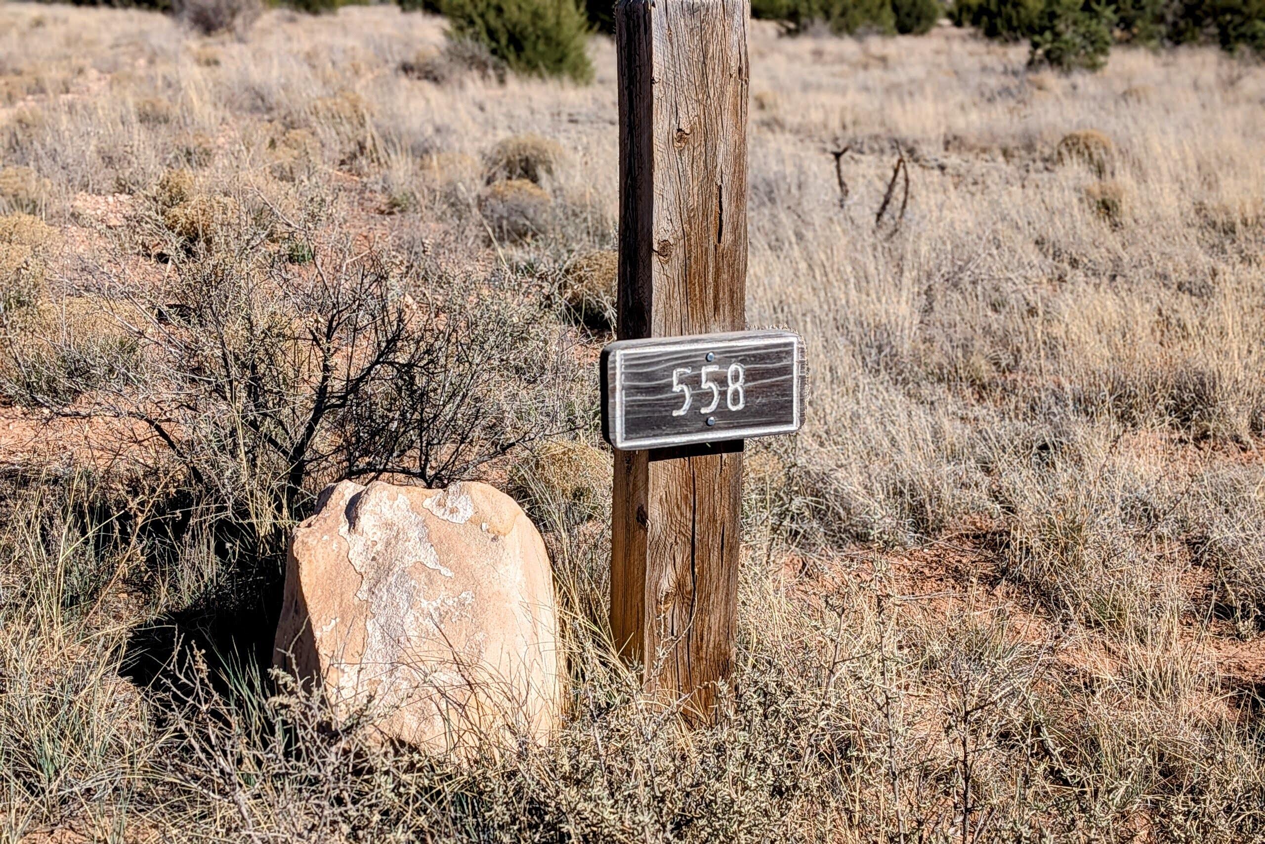 Photo 11 — 558 Deer Canyon Trail