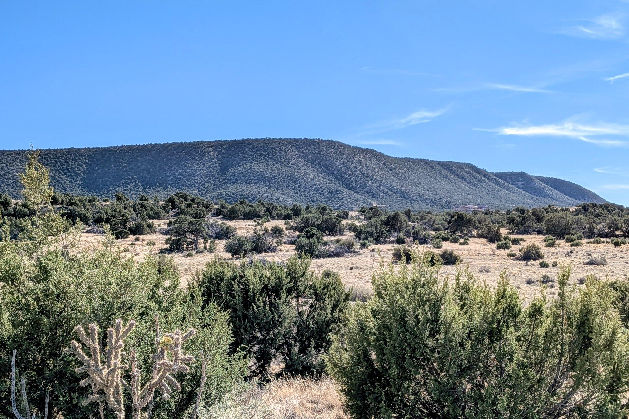 Photo 10 — 558 Deer Canyon Trail