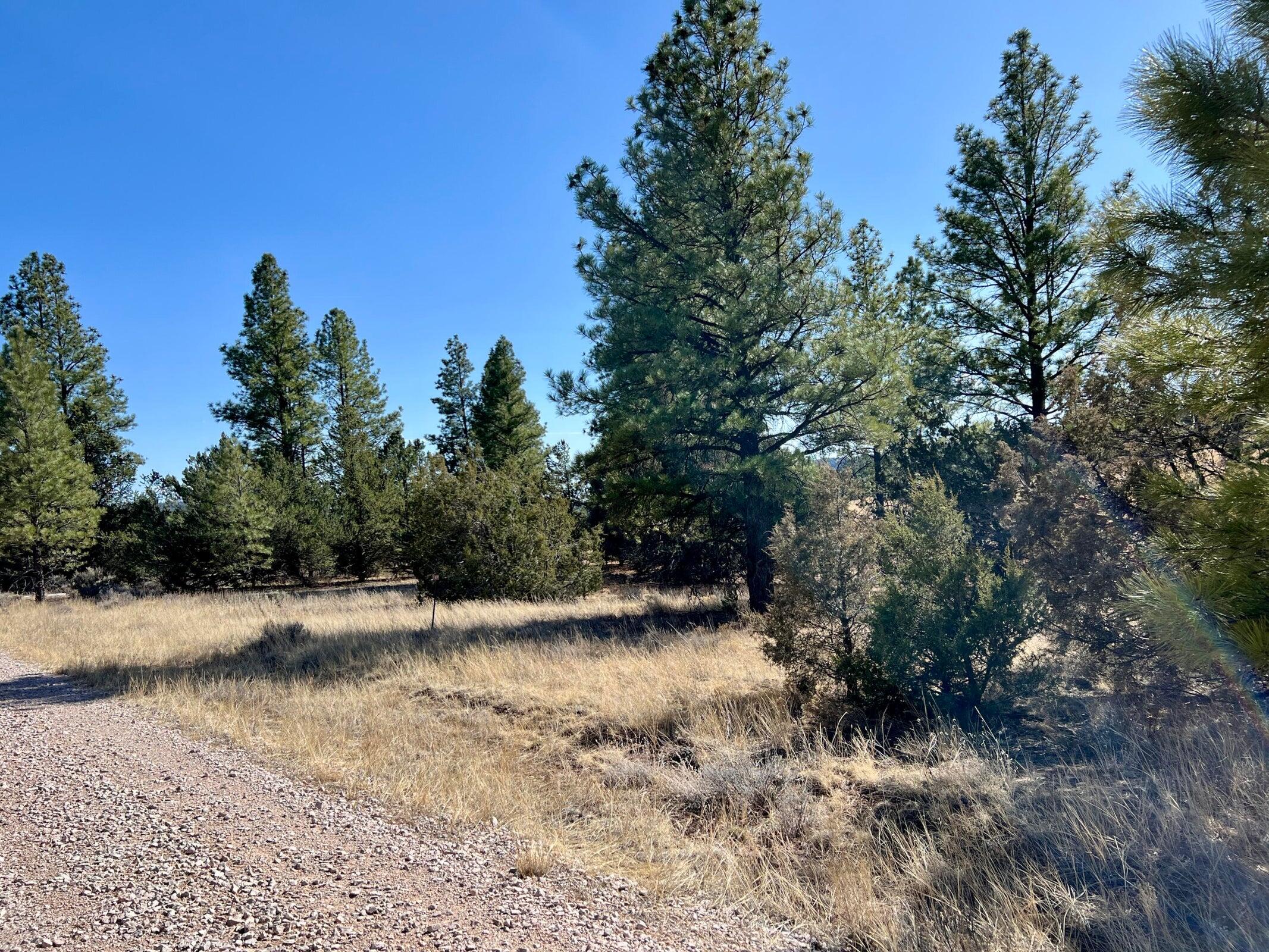Photo 15 — Lot 9 Juniper Drive