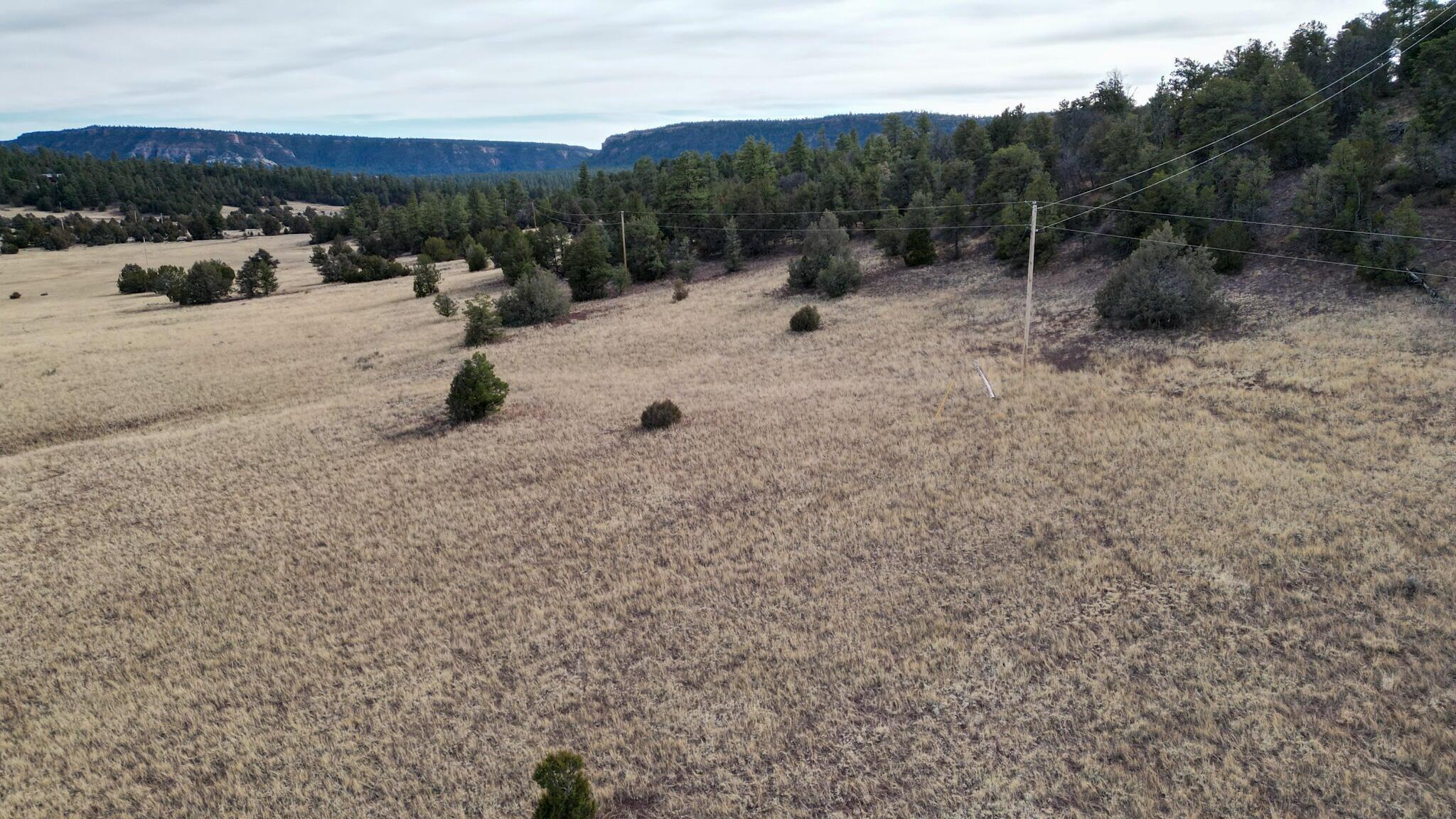 Photo 16 — Lot 9 Juniper Drive