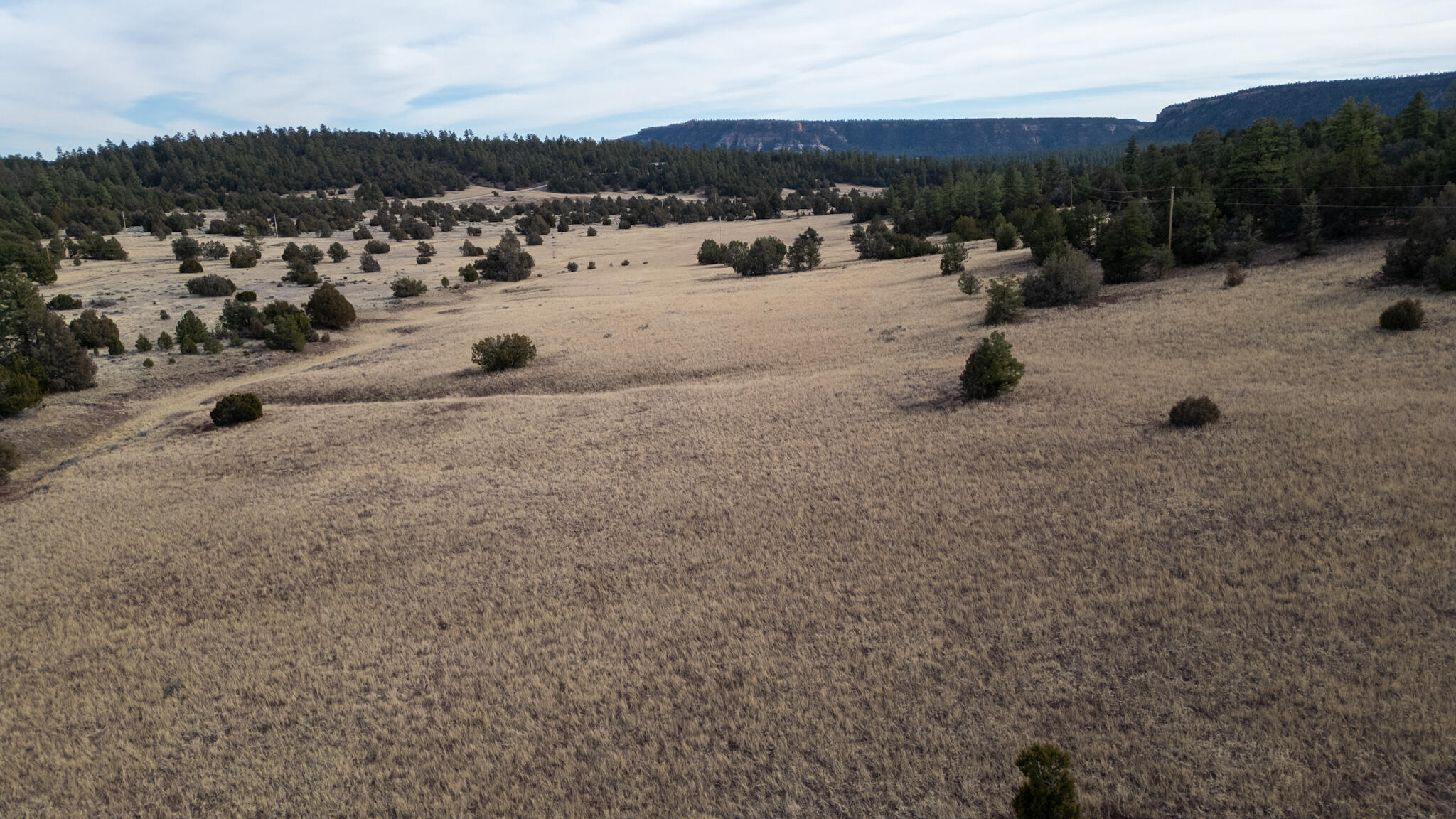 Photo 17 — Lot 9 Juniper Drive