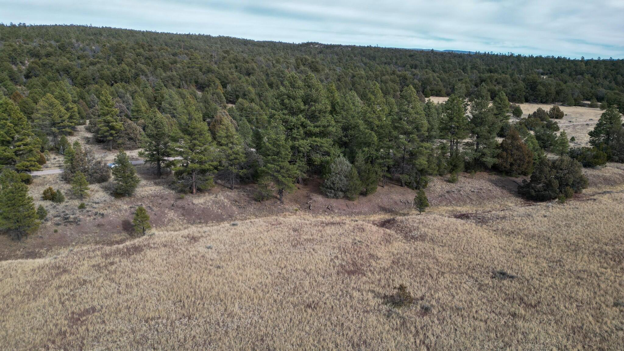 Photo 18 — Lot 9 Juniper Drive