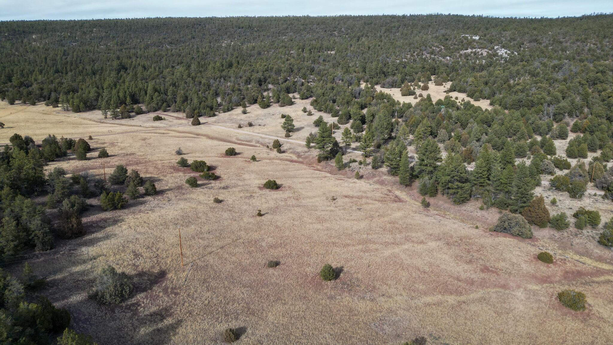 Photo 19 — Lot 9 Juniper Drive