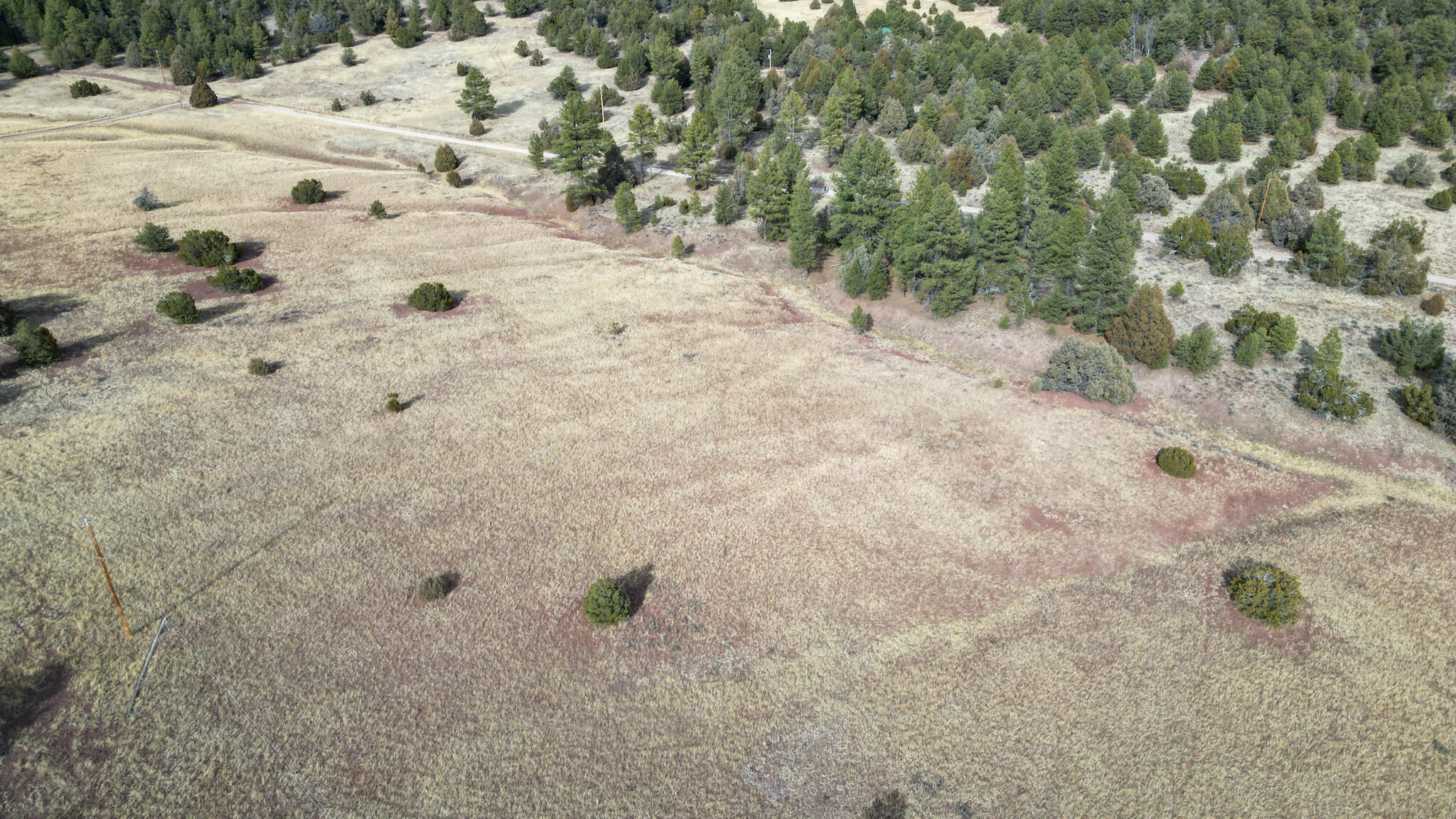Photo 20 — Lot 9 Juniper Drive
