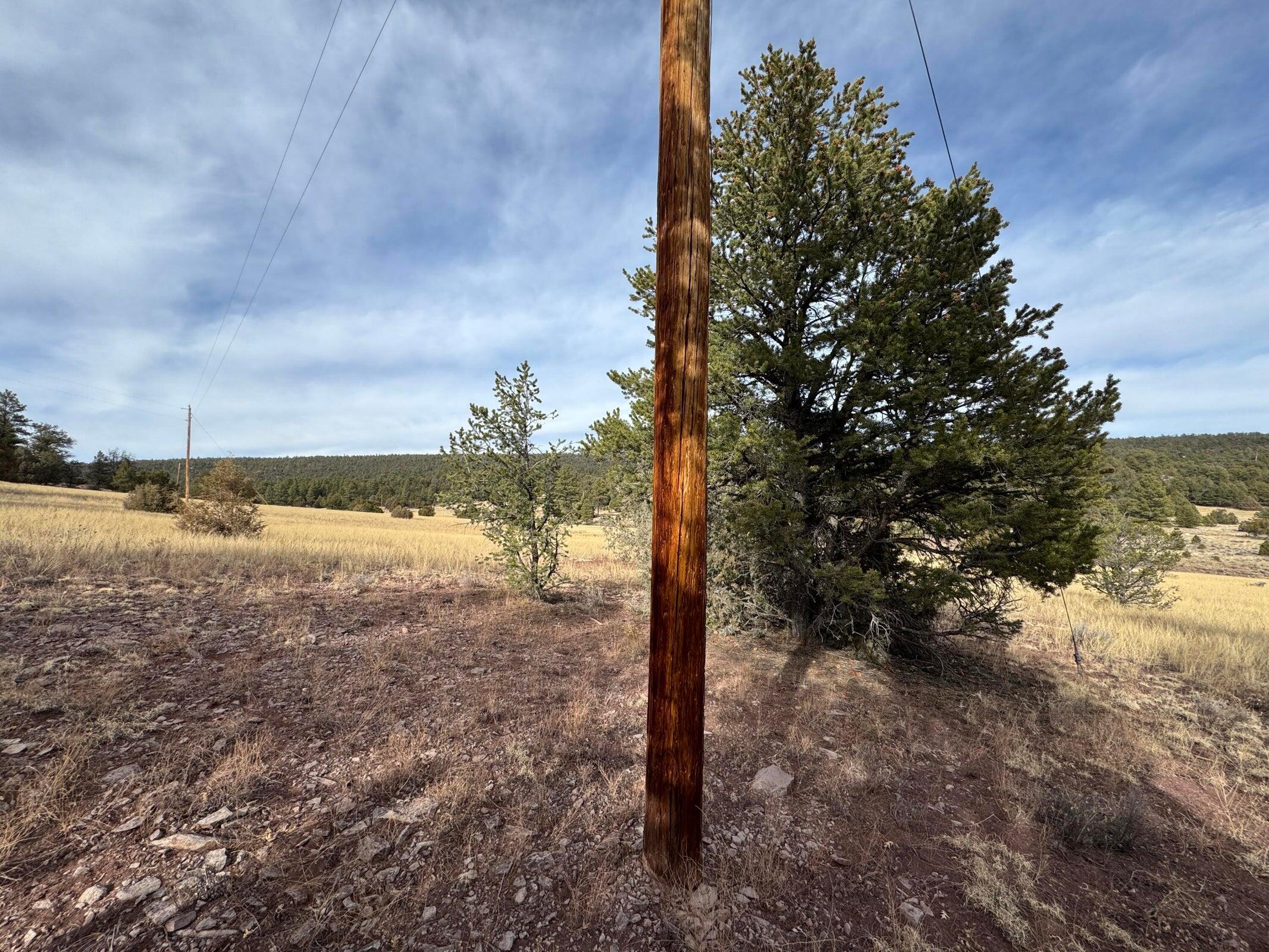 Photo 2 — Lot 9 Juniper Drive