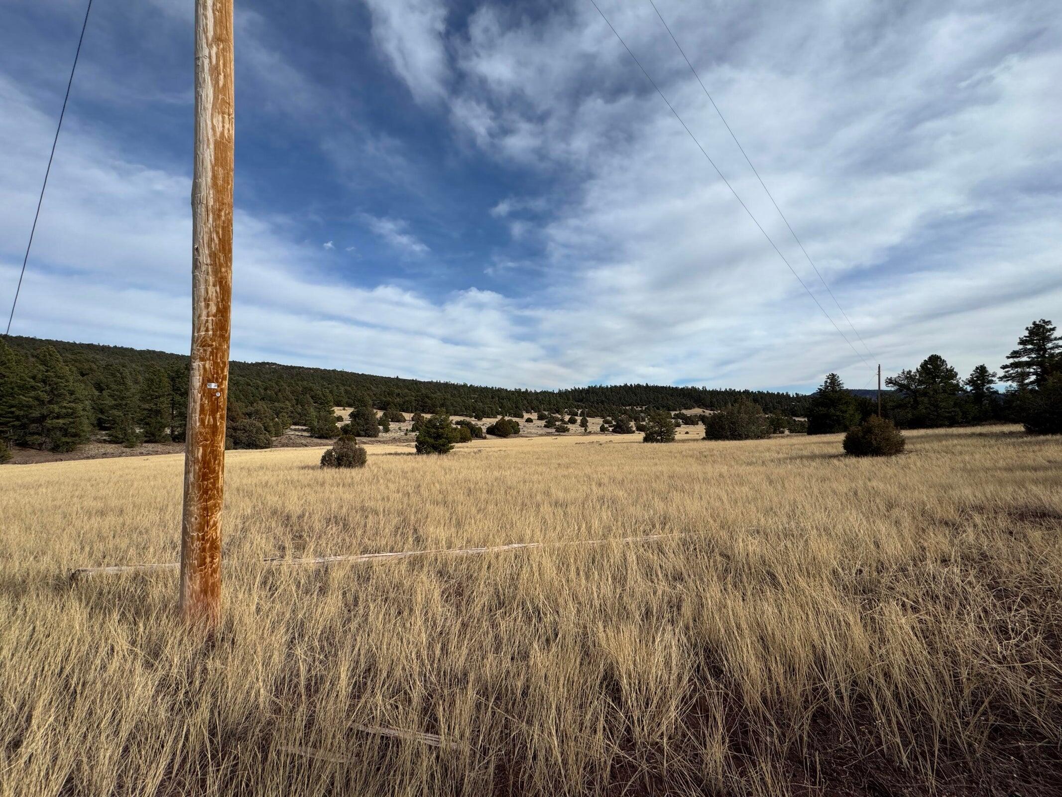 Photo 3 — Lot 9 Juniper Drive