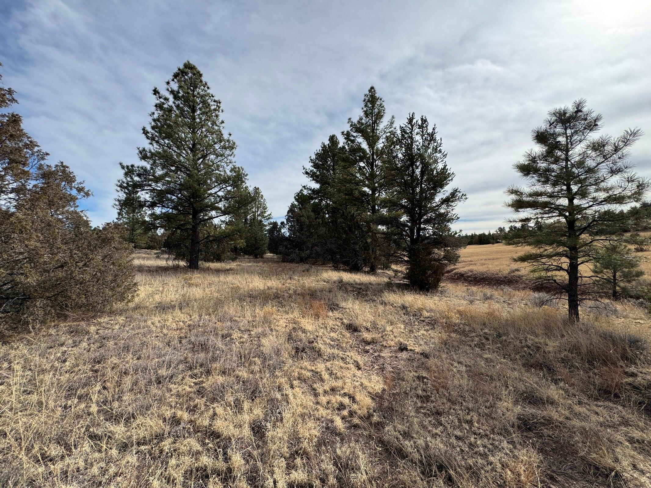 Photo 4 — Lot 9 Juniper Drive