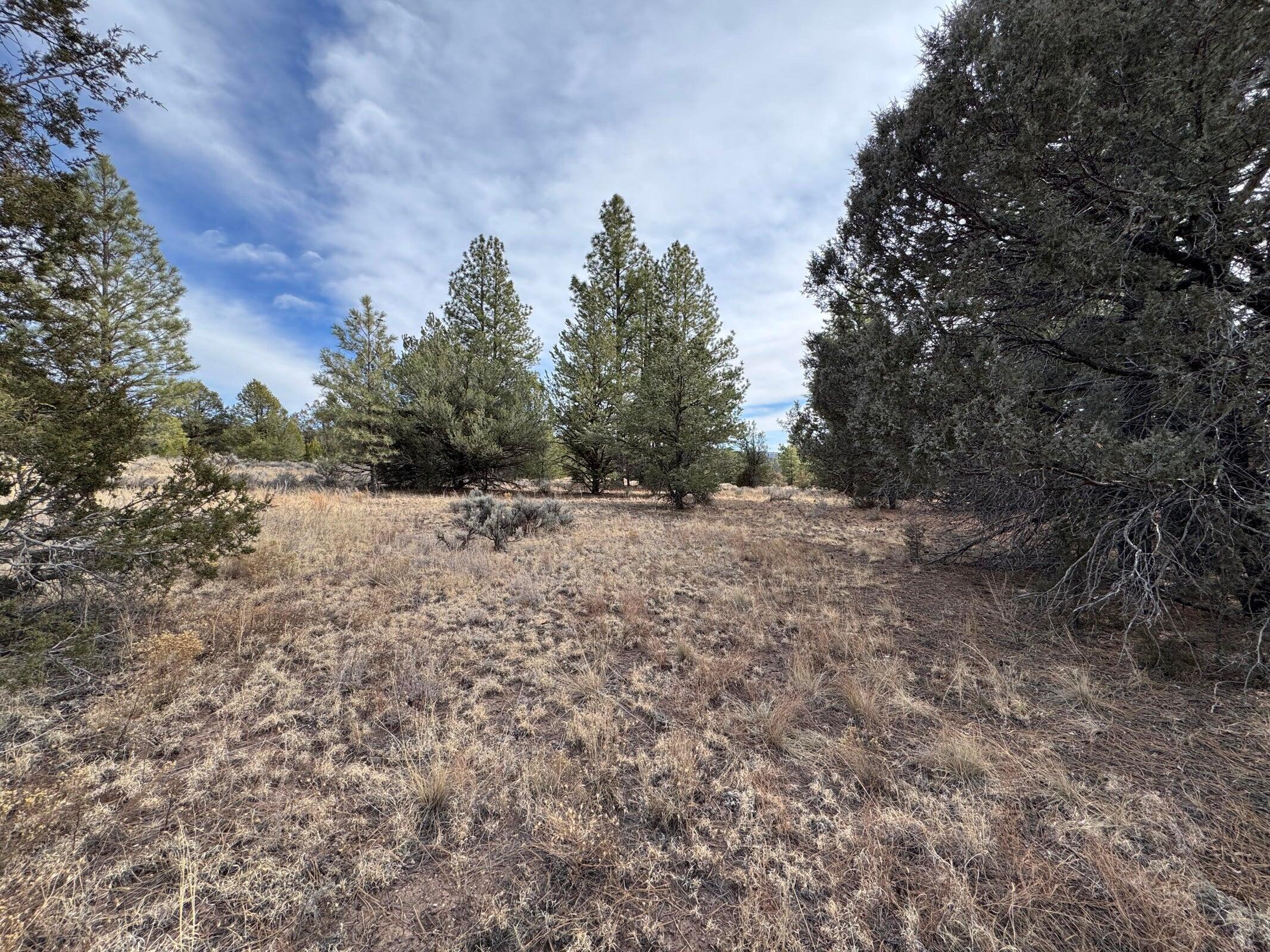 Photo 5 — Lot 9 Juniper Drive