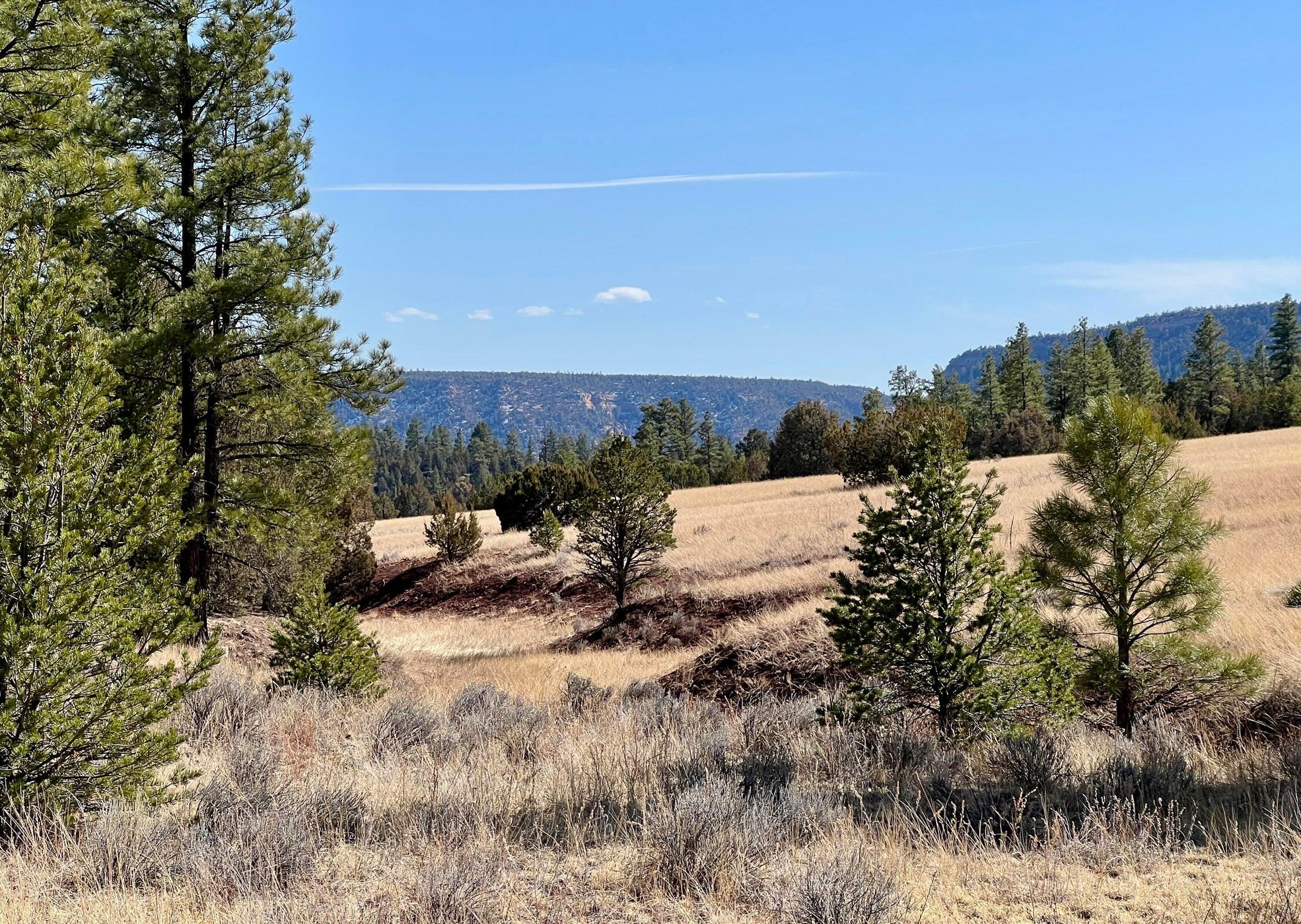 Photo 8 — Lot 9 Juniper Drive