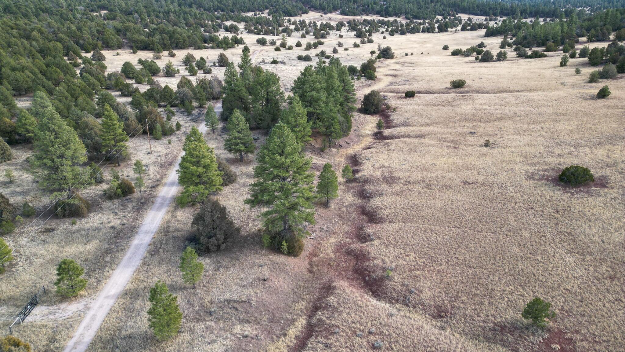 Photo 9 — Lot 9 Juniper Drive