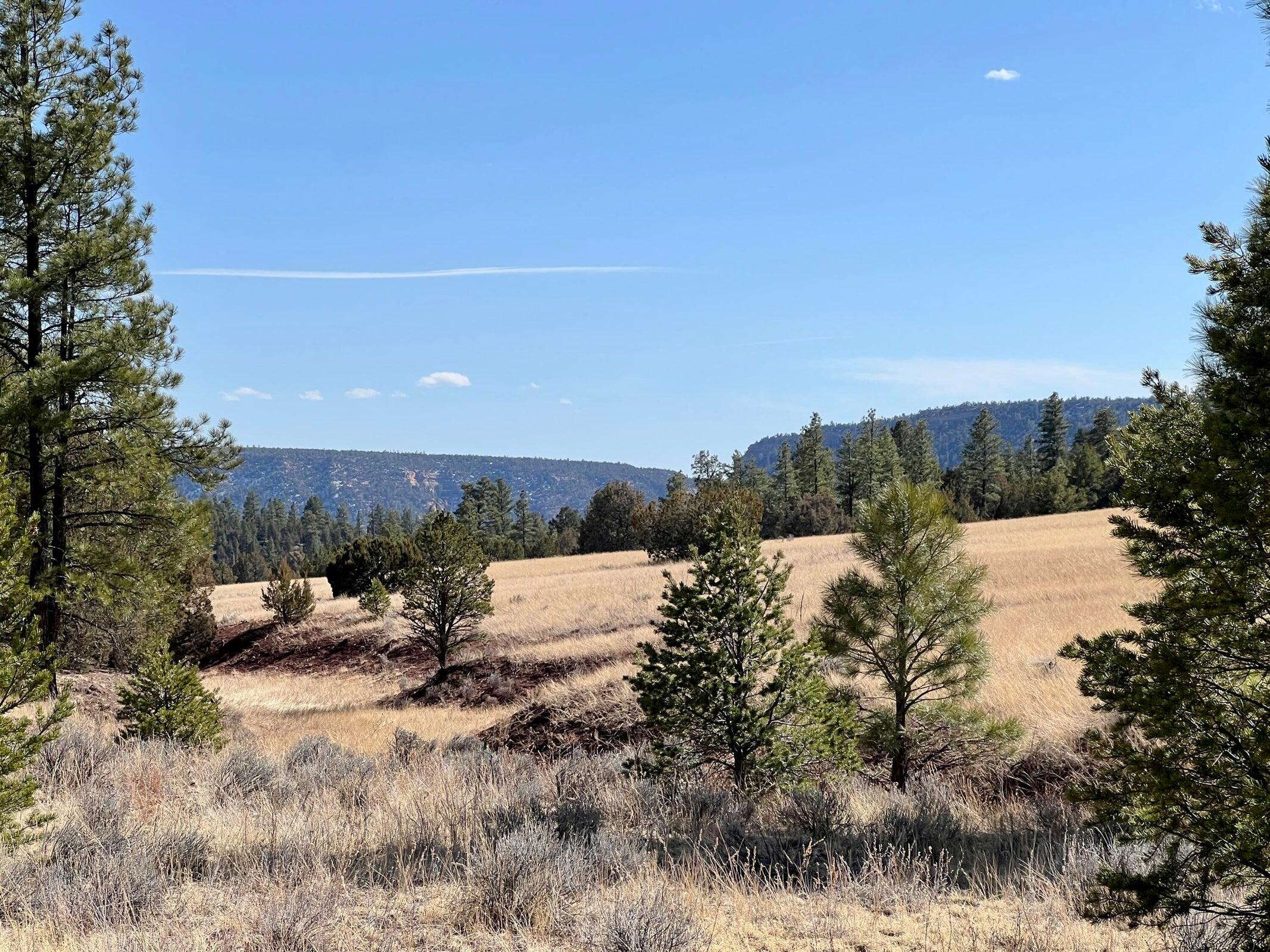 Photo 10 — Lot 9 Juniper Drive