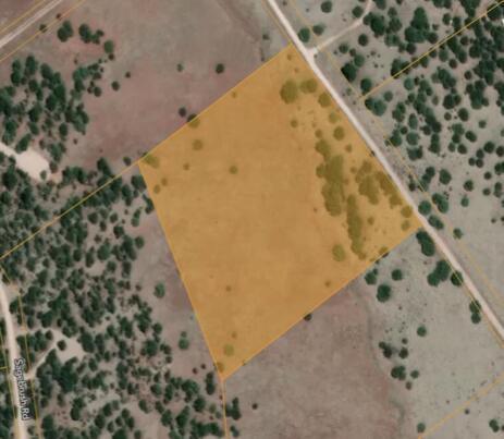 Photo 11 — Lot 9 Juniper Drive