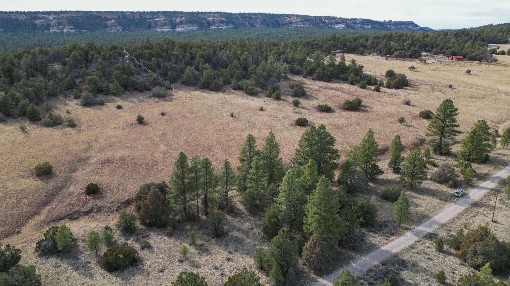 Photo 12 — Lot 9 Juniper Drive