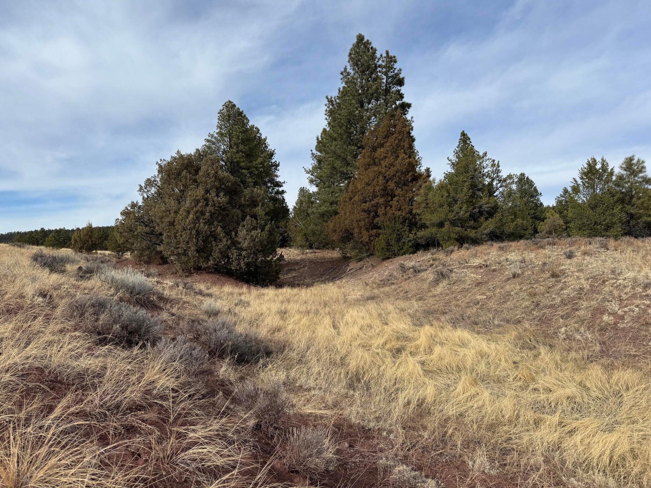 Photo 14 — Lot 9 Juniper Drive