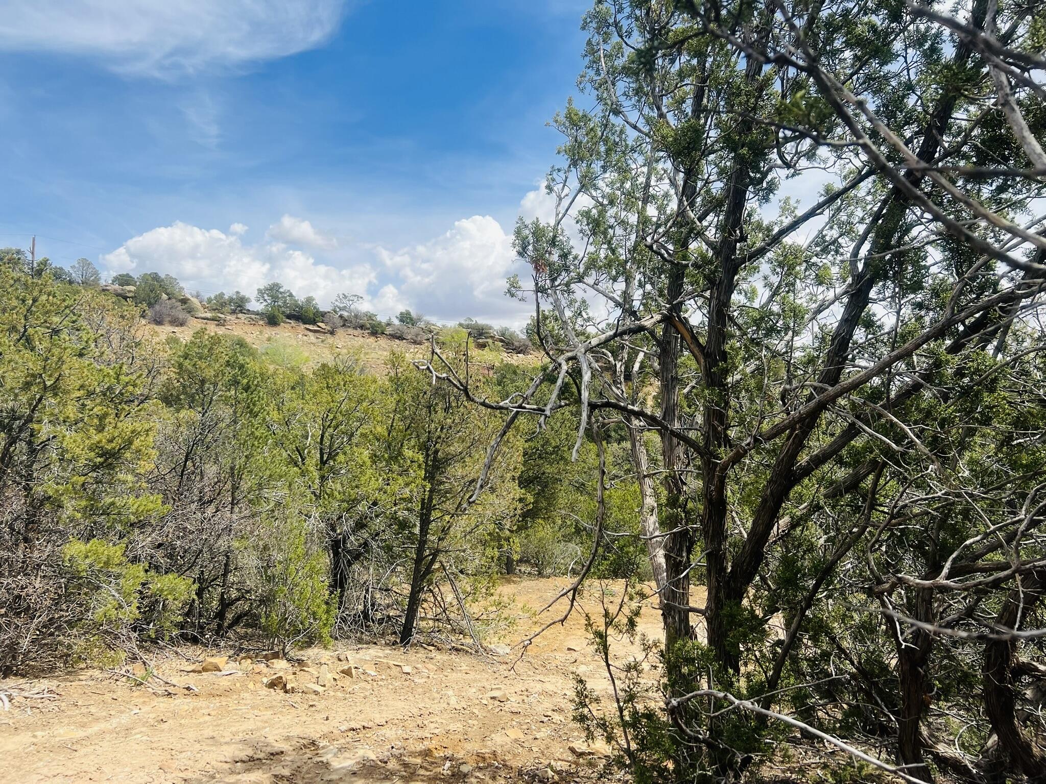 Photo 3 — 9 Boulder Lane