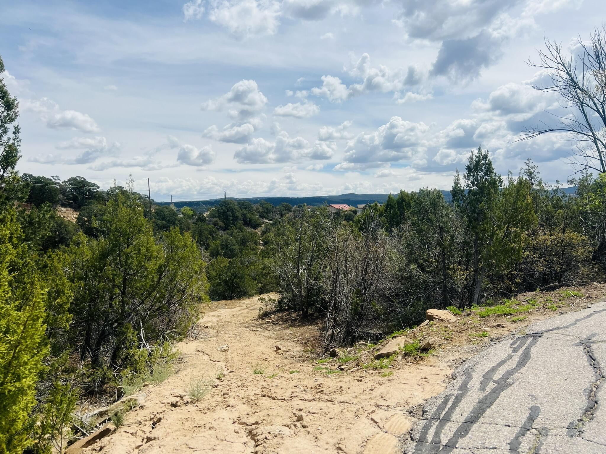 Photo 4 — 9 Boulder Lane