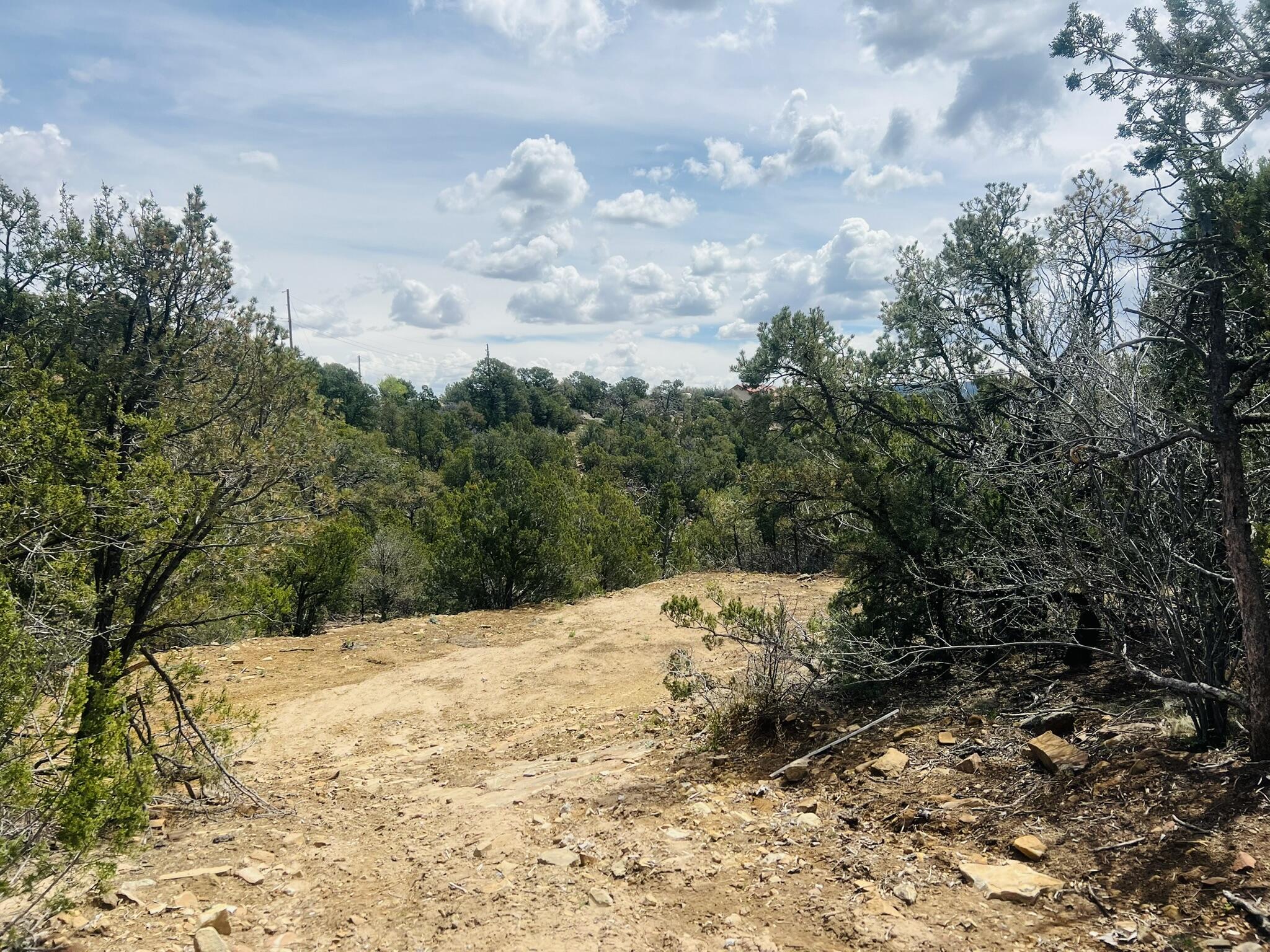 Photo 7 — 9 Boulder Lane