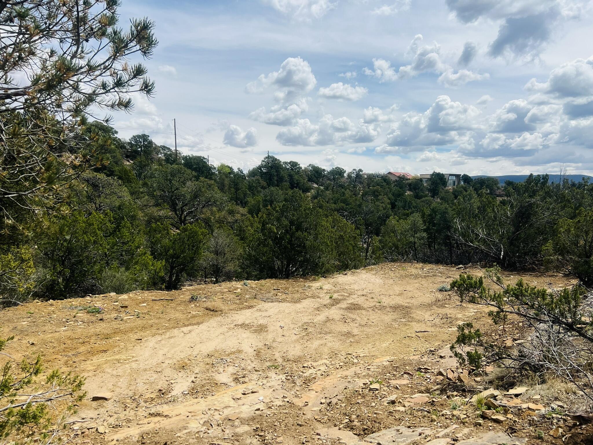 Photo 8 — 9 Boulder Lane