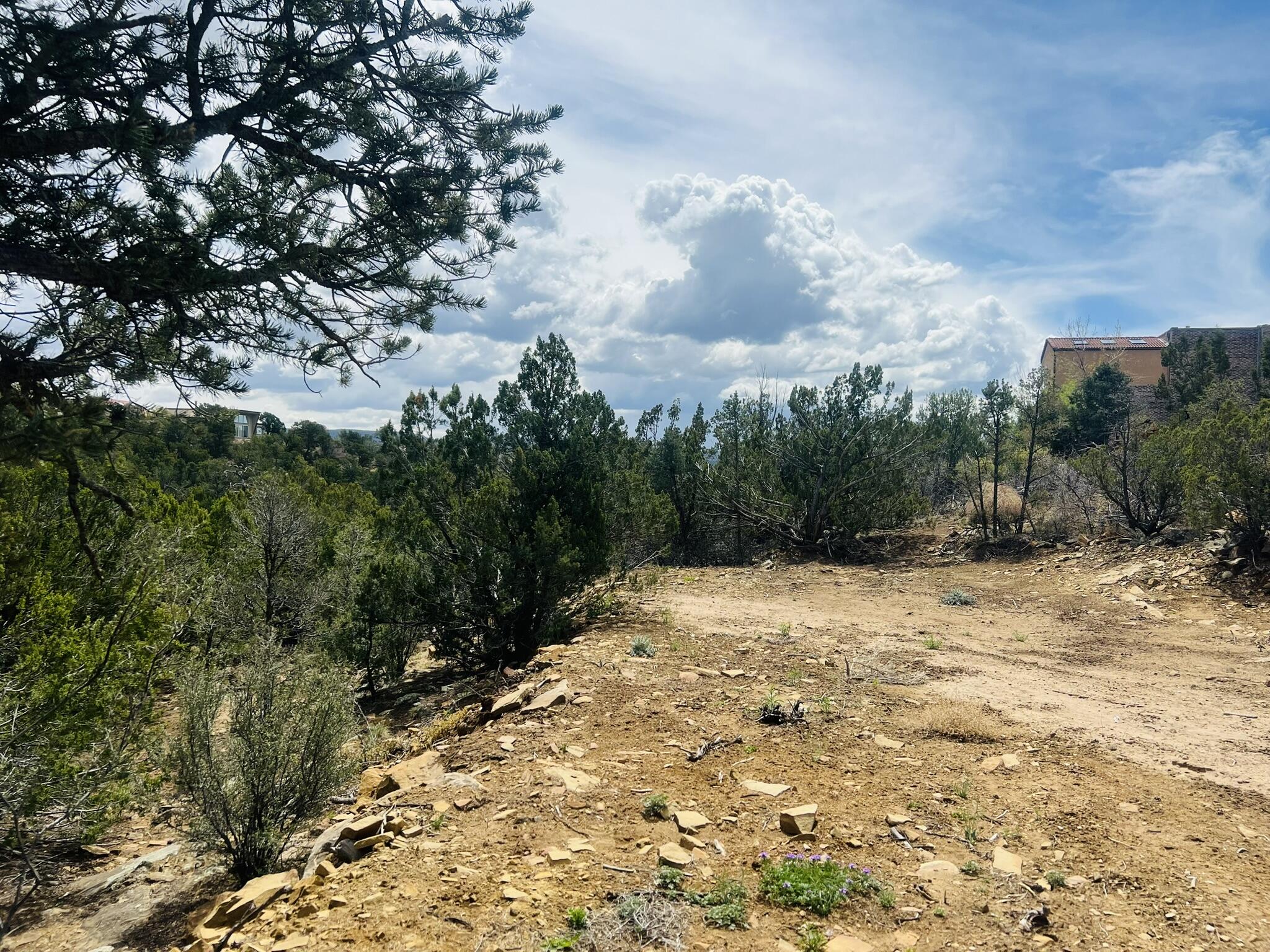 Photo 9 — 9 Boulder Lane