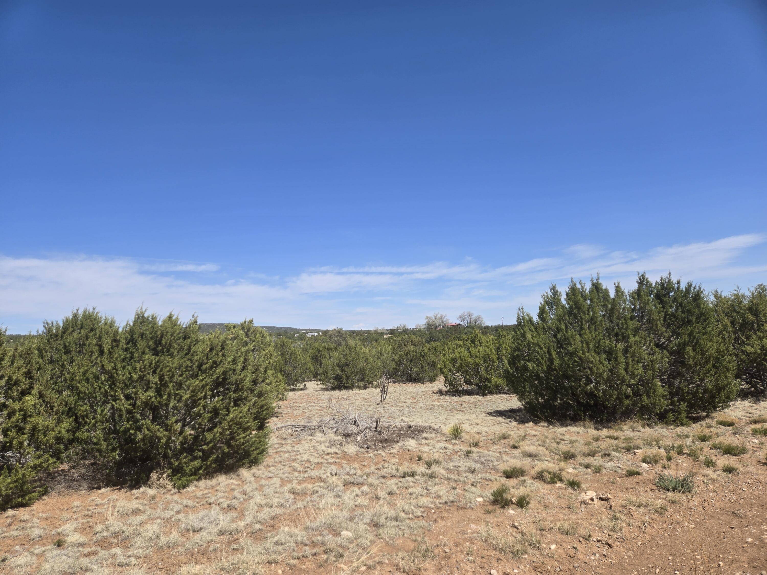 Photo 6 — 0 Lakewood Road 16