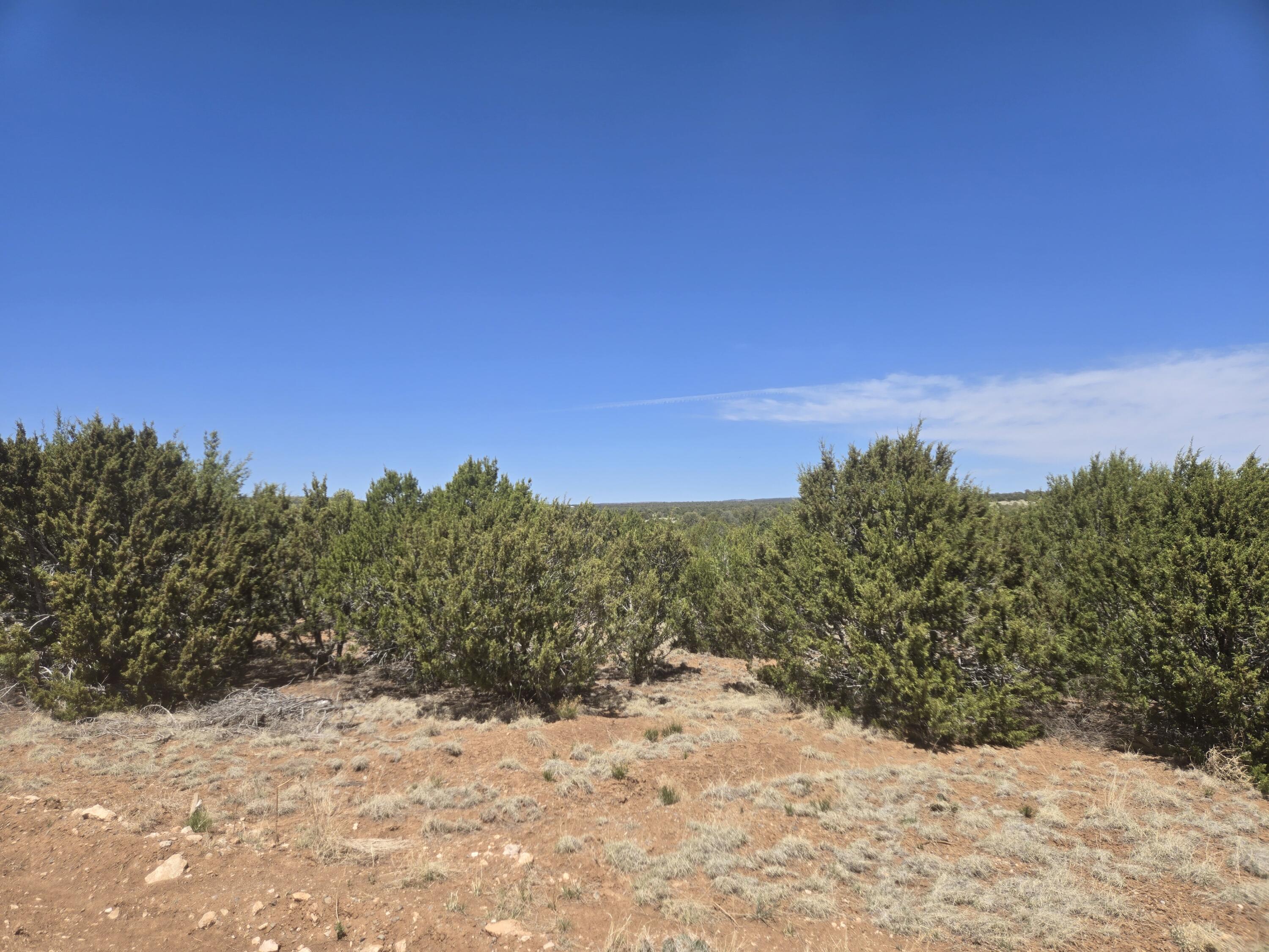 Photo 7 — 0 Lakewood Road 16