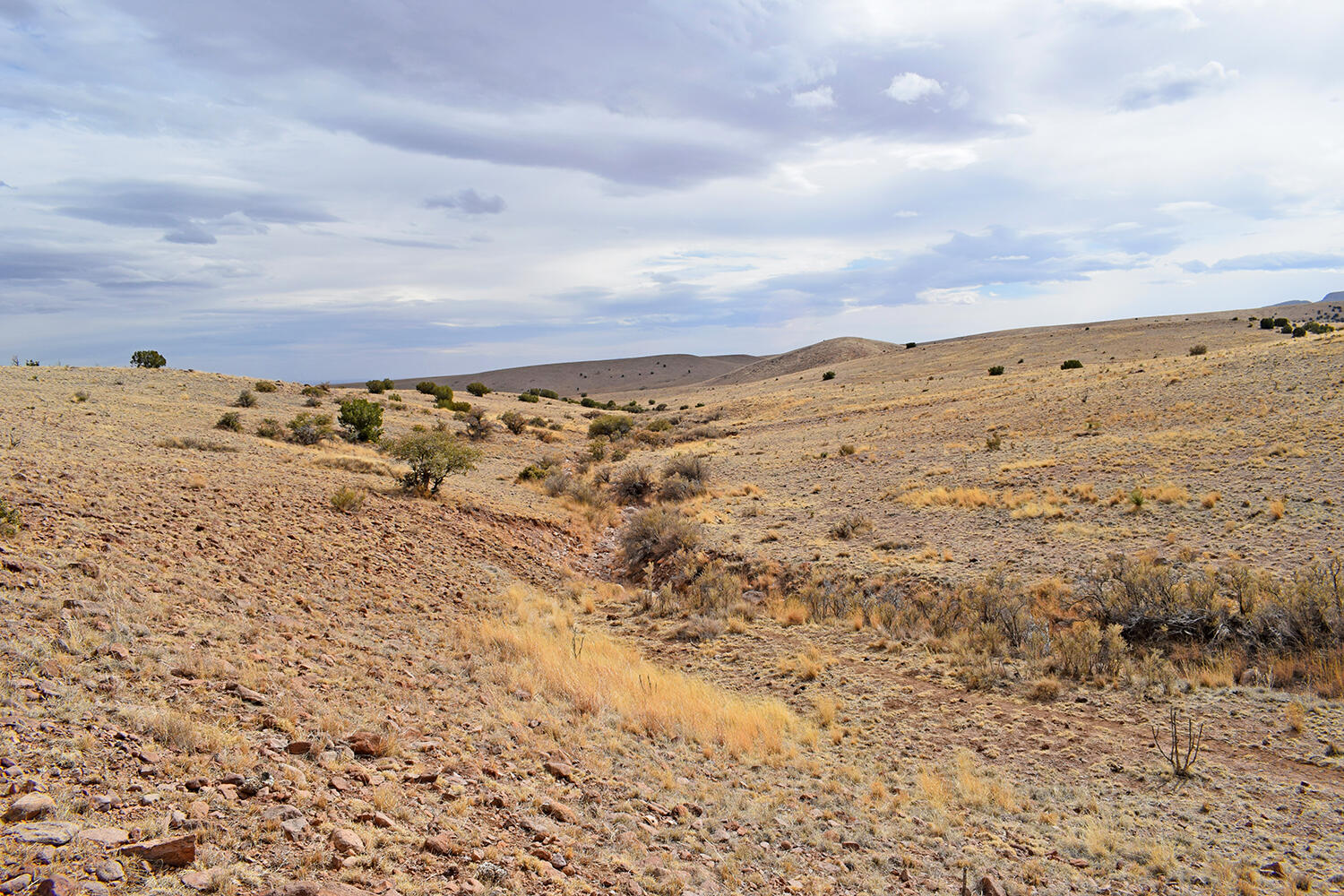 Photo 19 — Lot 124 Rolling Hills