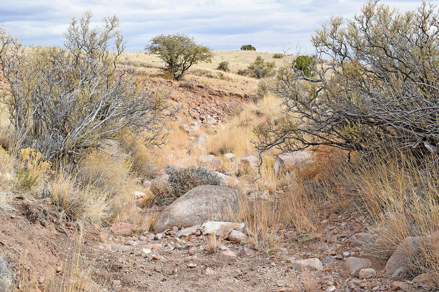 Photo 18 — Lot 124 Rolling Hills