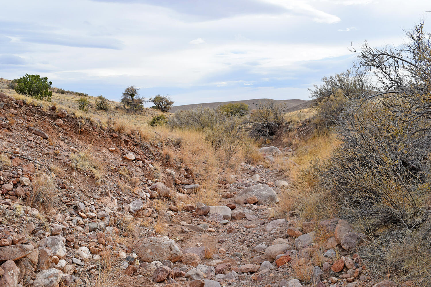 Photo 17 — Lot 124 Rolling Hills