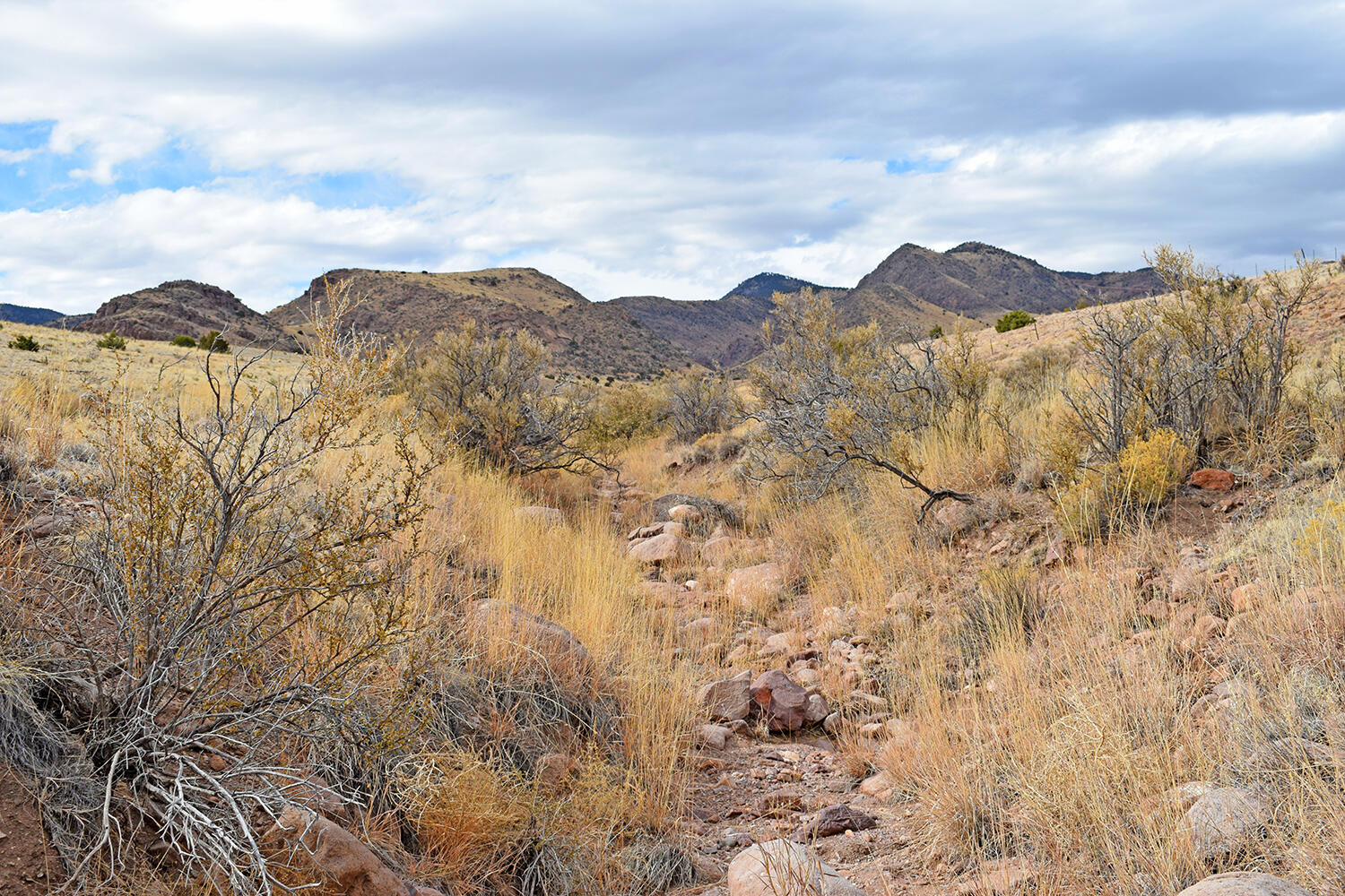Photo 16 — Lot 124 Rolling Hills