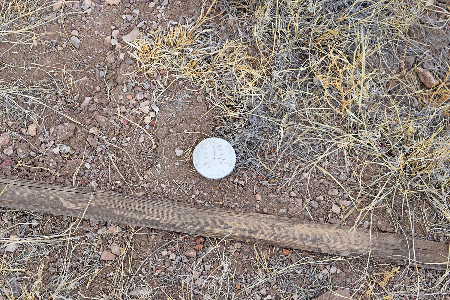 Photo 13 — Lot 124 Rolling Hills