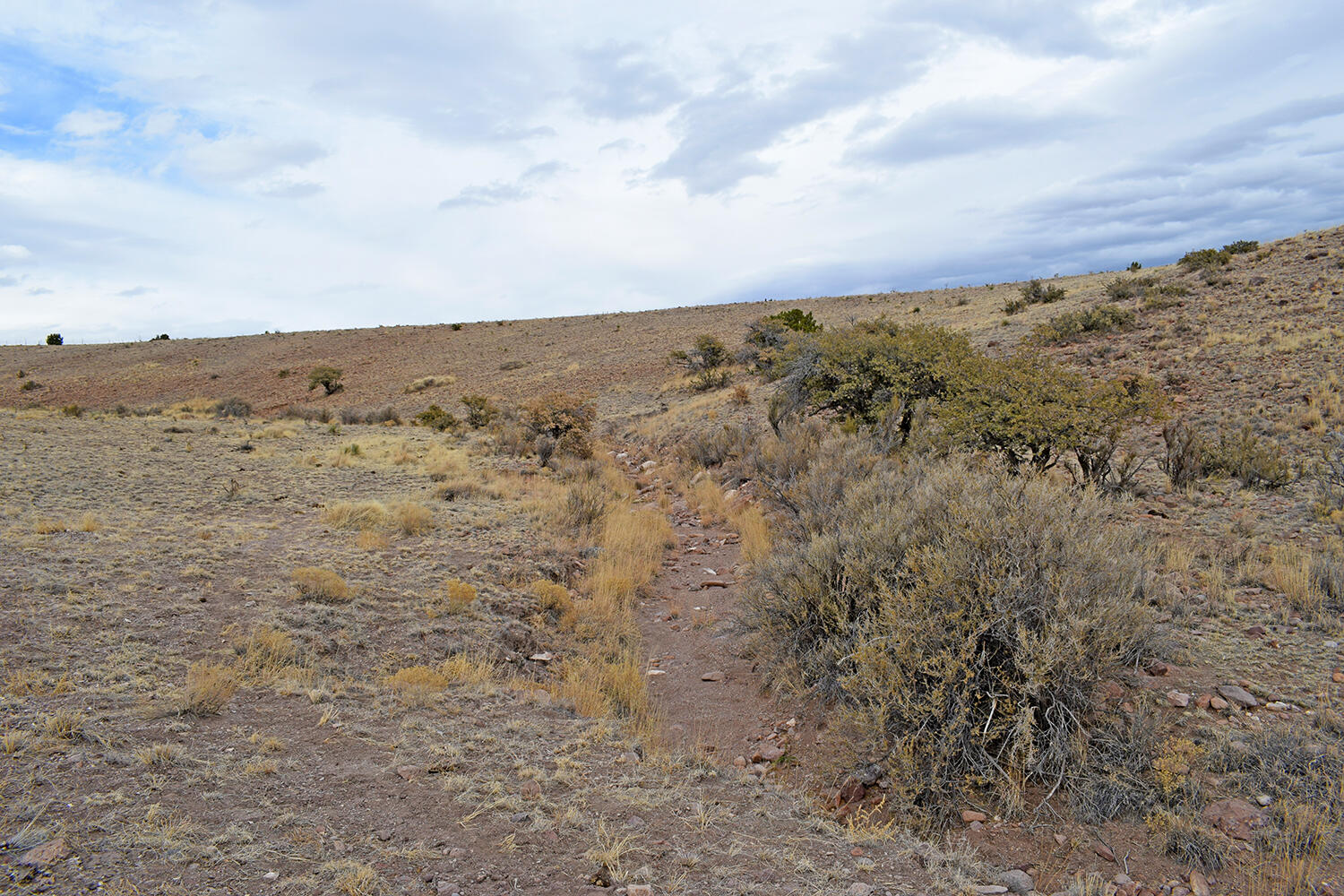 Photo 8 — Lot 124 Rolling Hills
