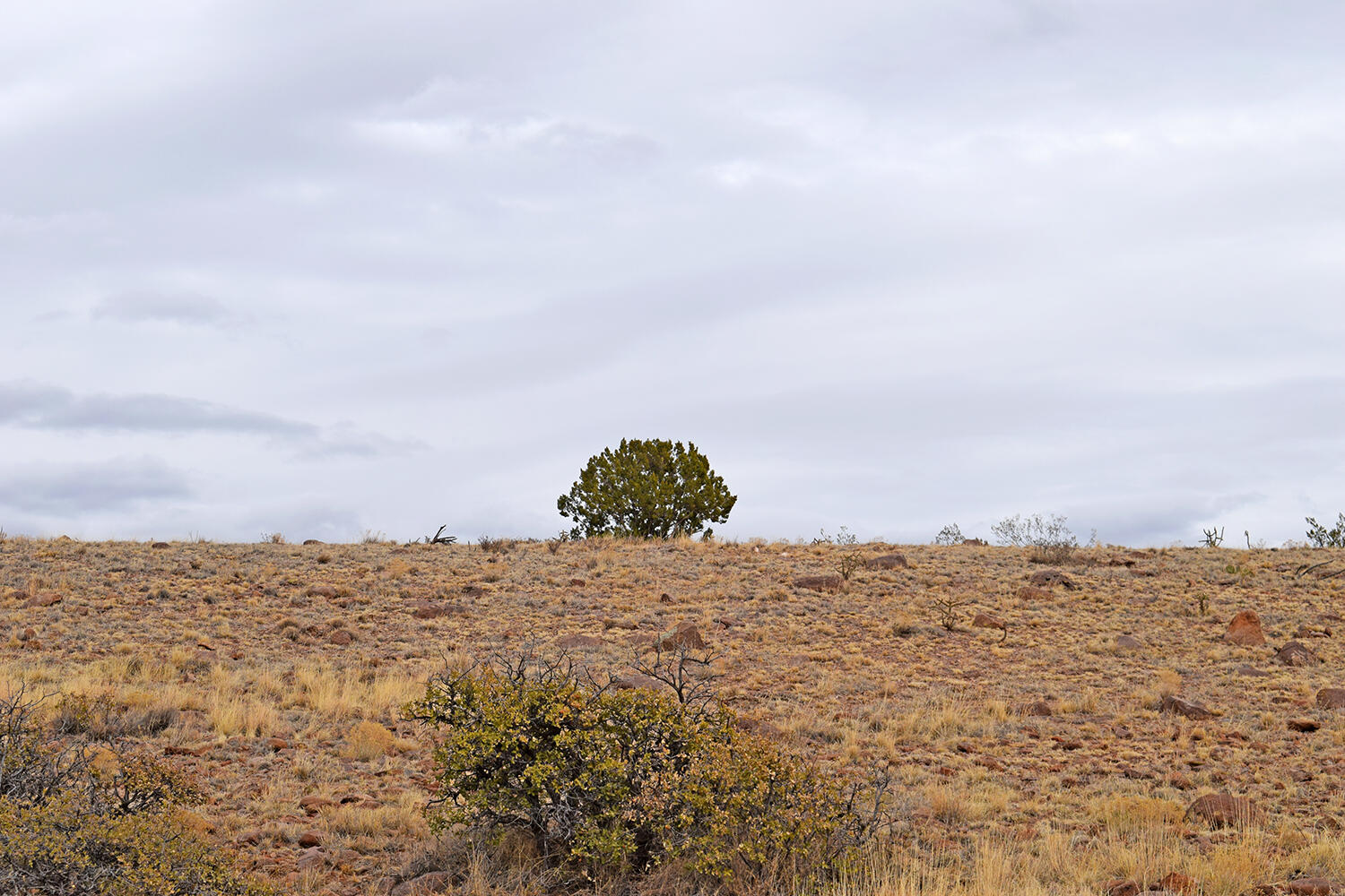 Photo 7 — Lot 124 Rolling Hills