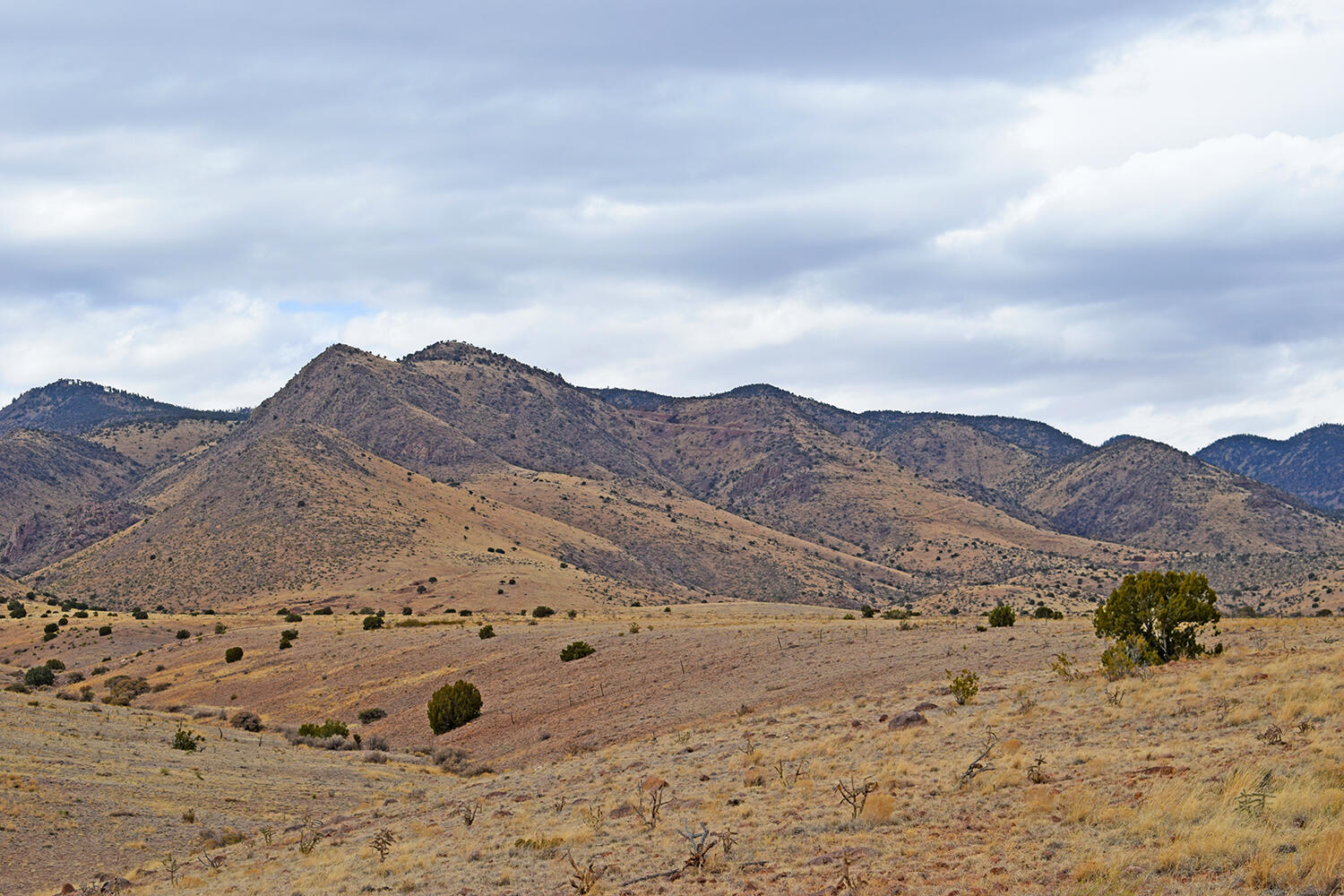 Photo 5 — Lot 124 Rolling Hills