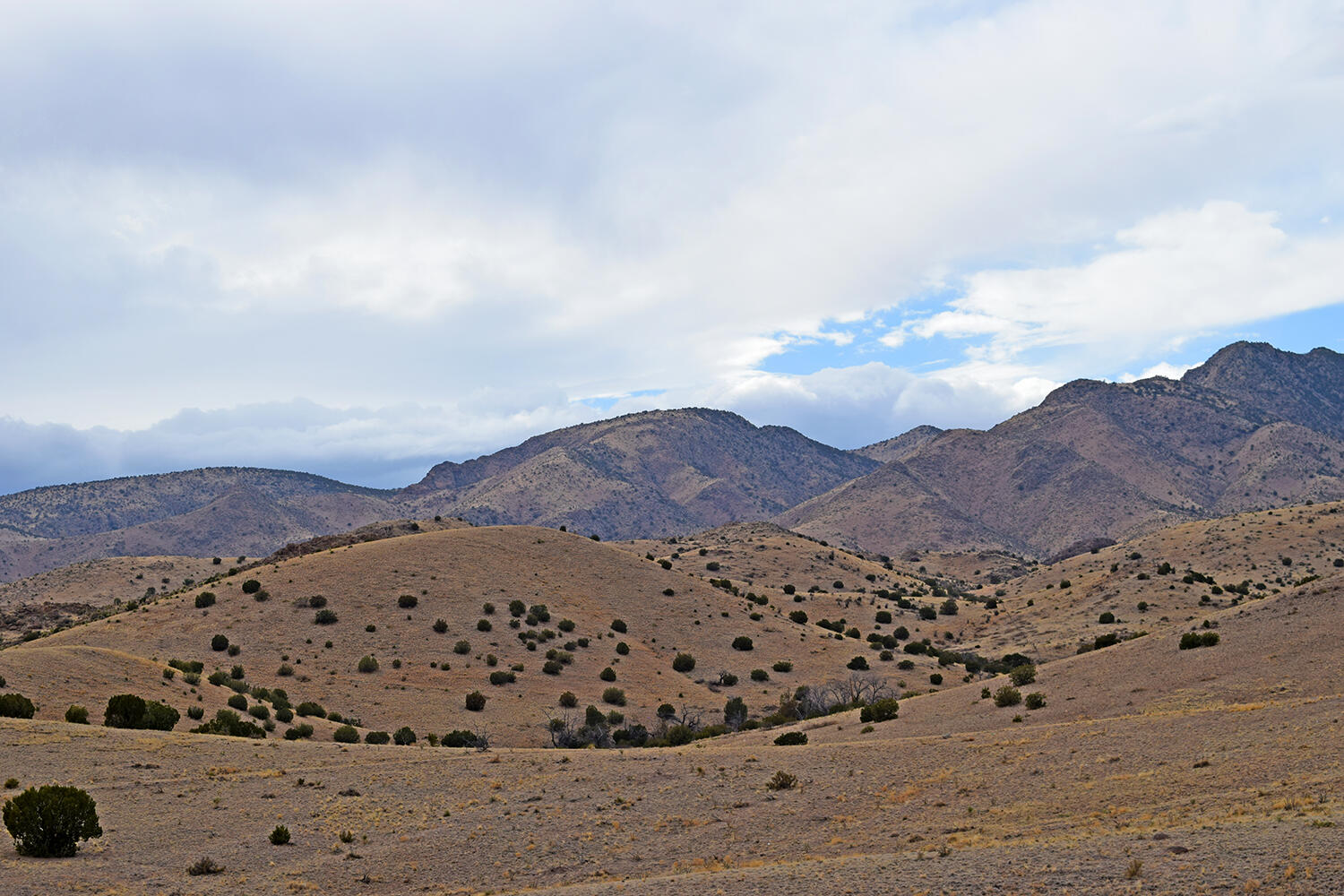 Photo 4 — Lot 124 Rolling Hills