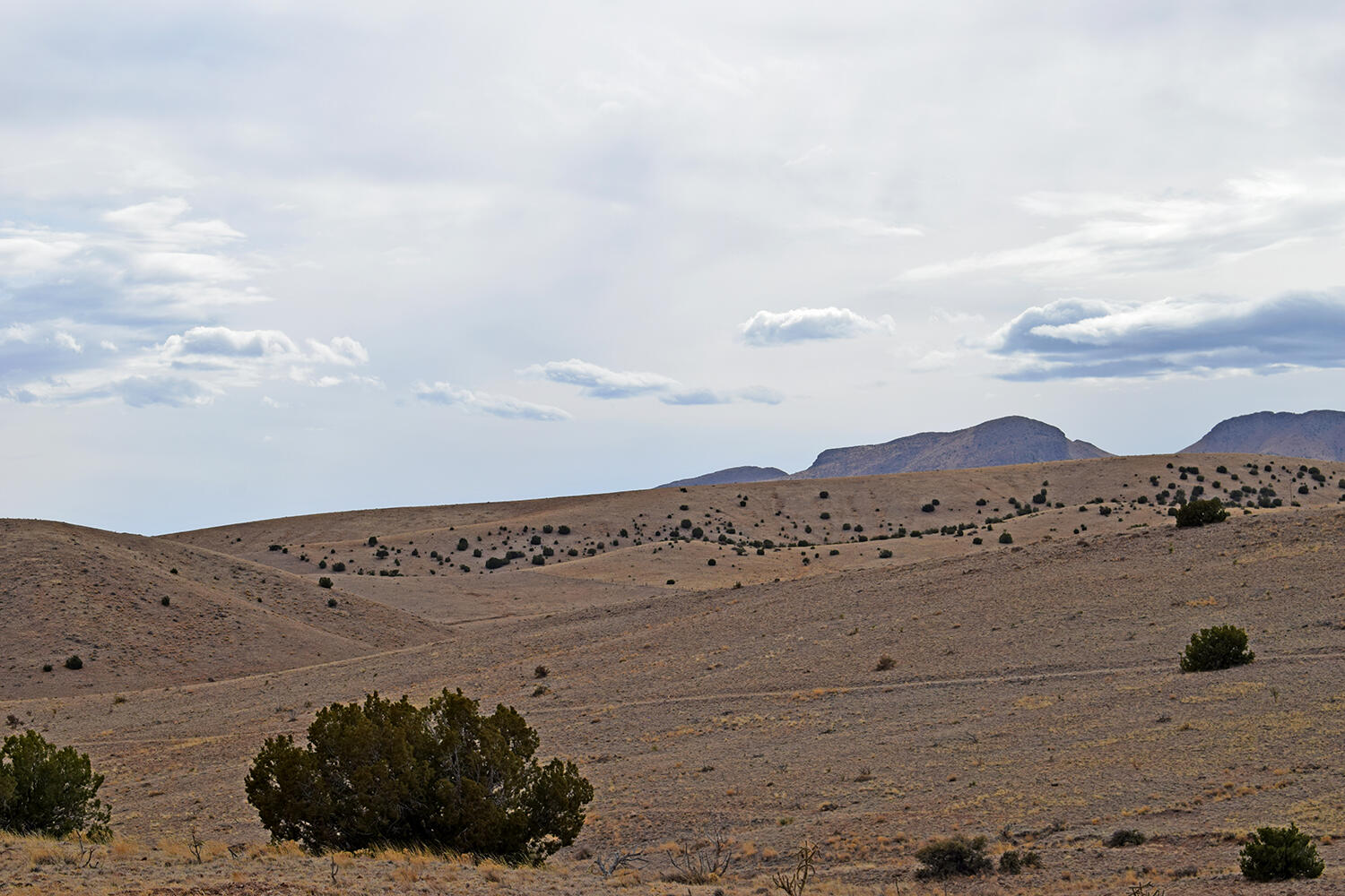 Photo 3 — Lot 124 Rolling Hills