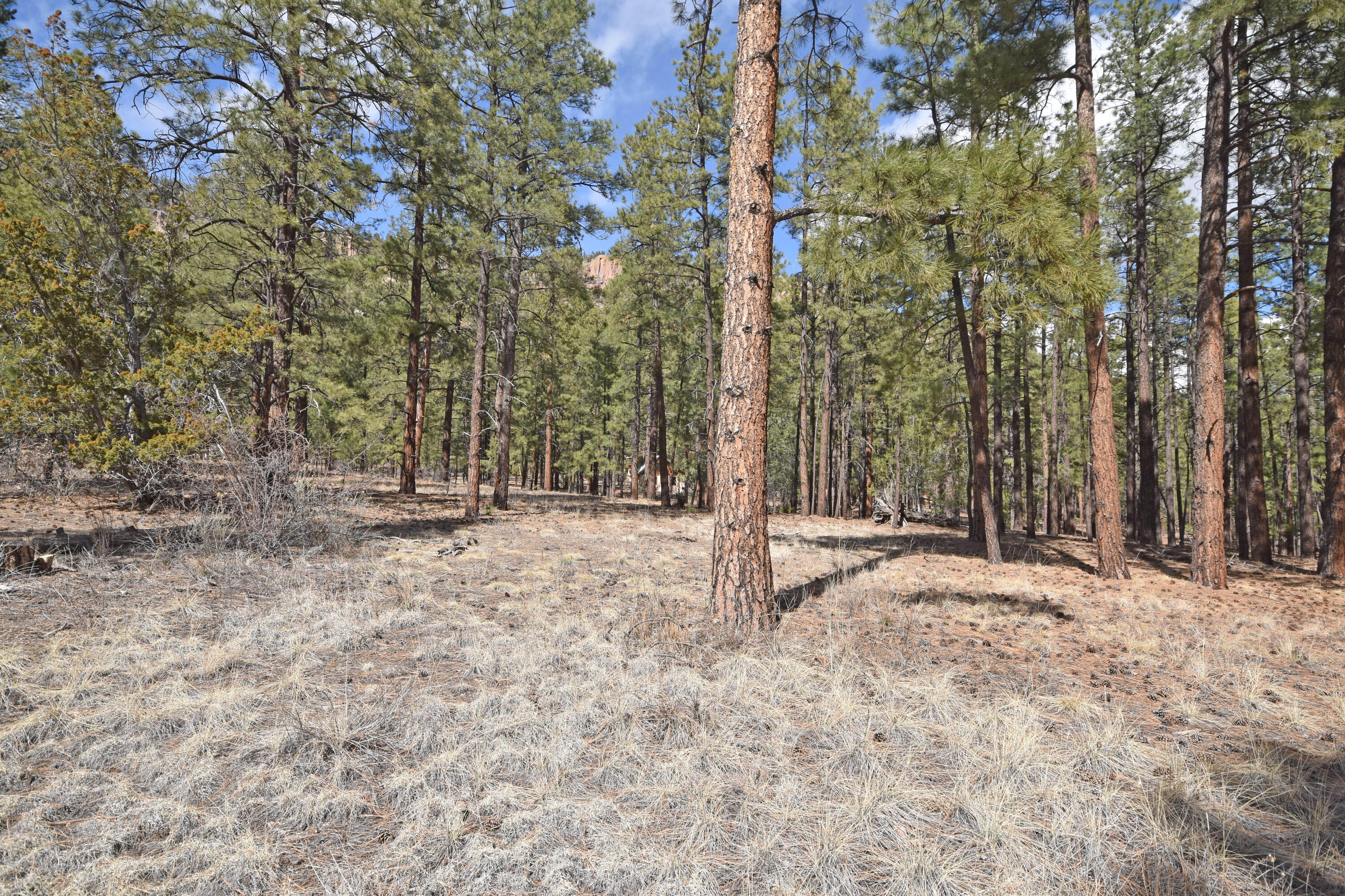 Lot 49 A Cool Pines